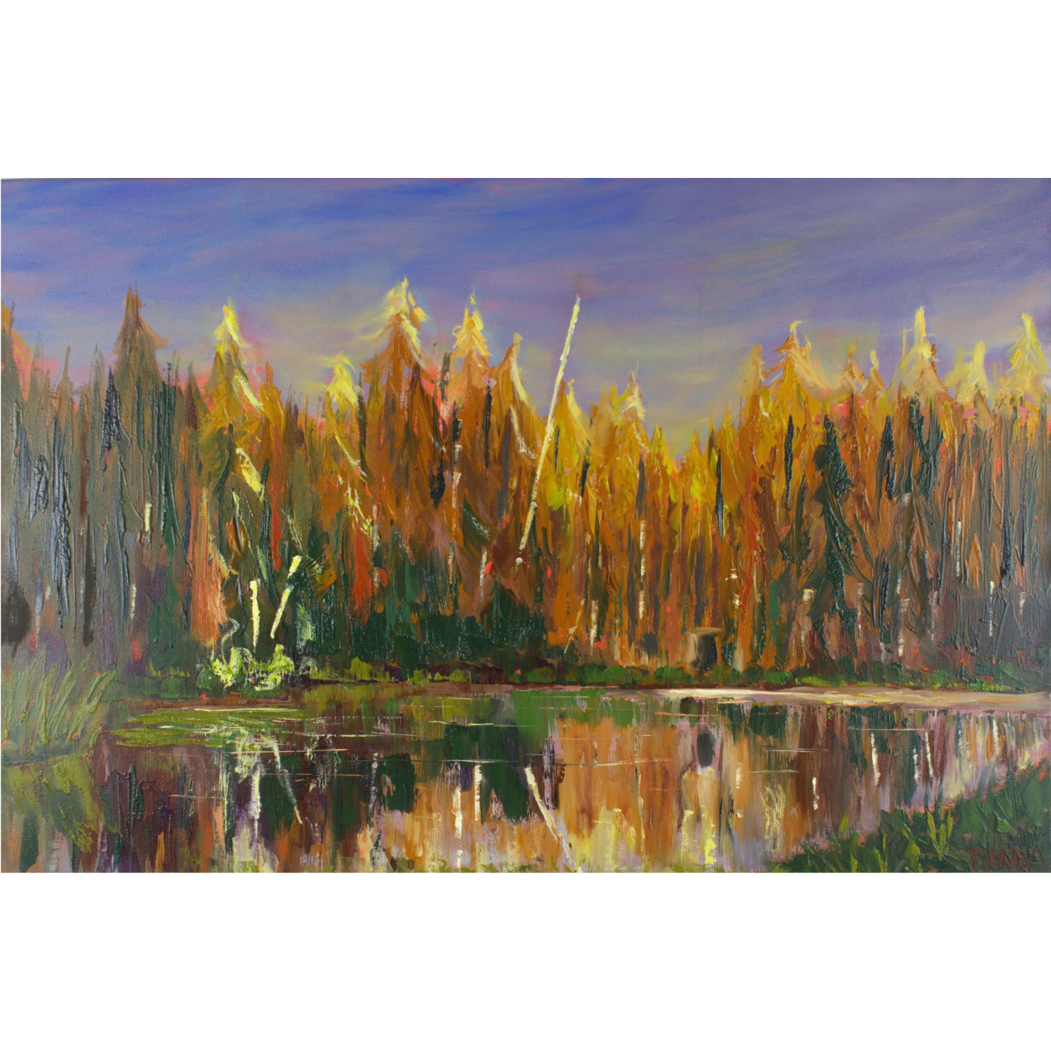 Resting Reflection