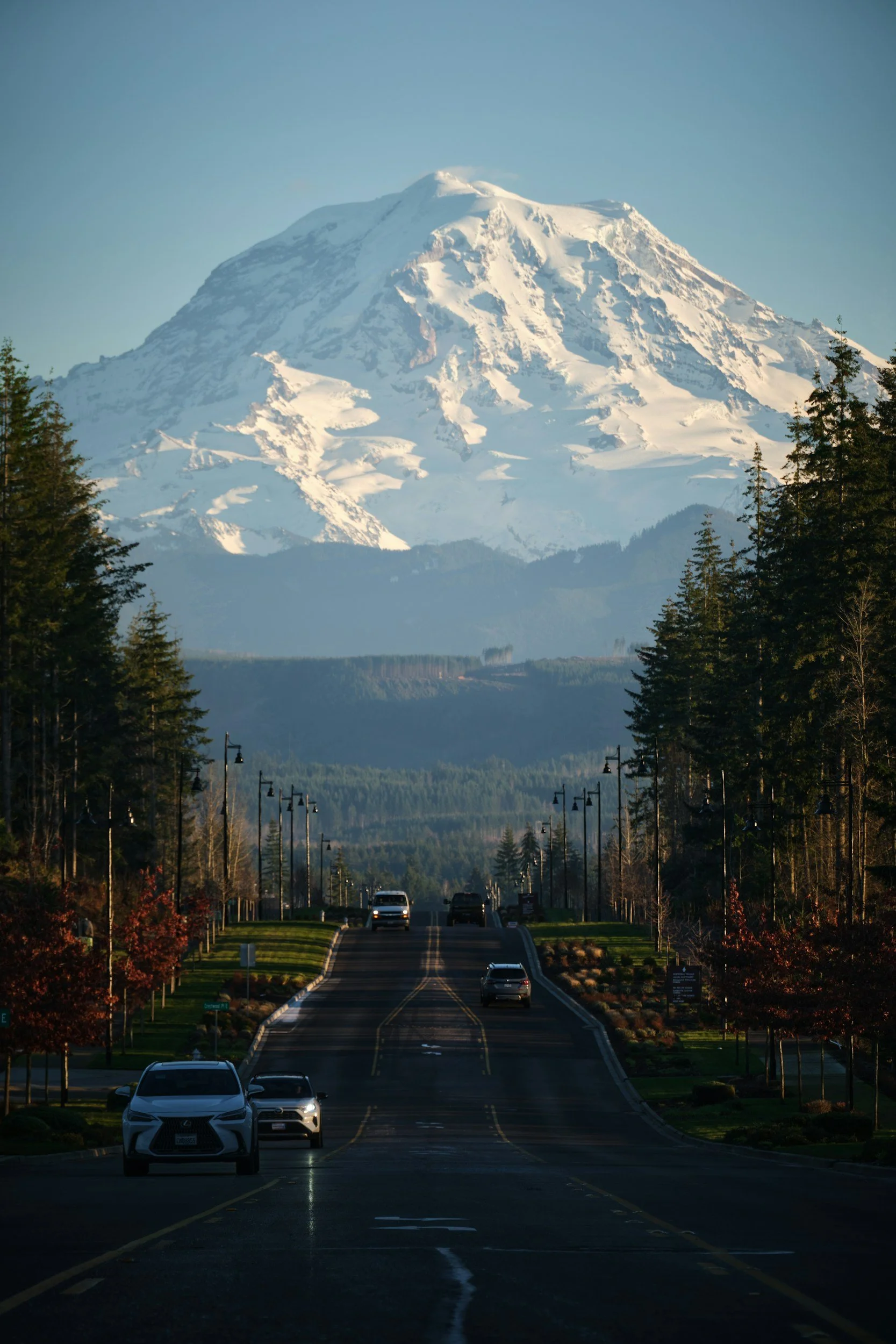 A scenic road leading towards a snow-capped mountain, surrounded by tall pine trees and a clear sky.
