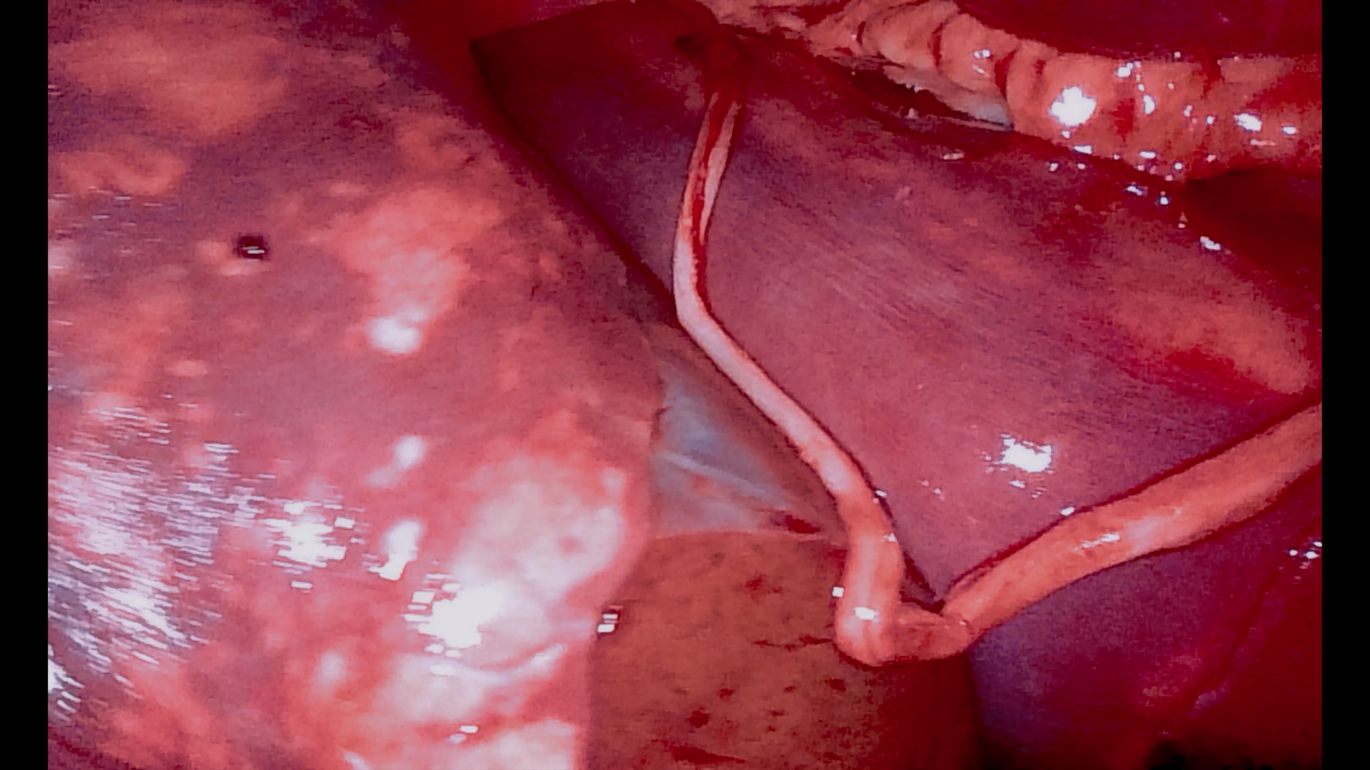 Screenshot 2026-04-07 at 11.47.59.png