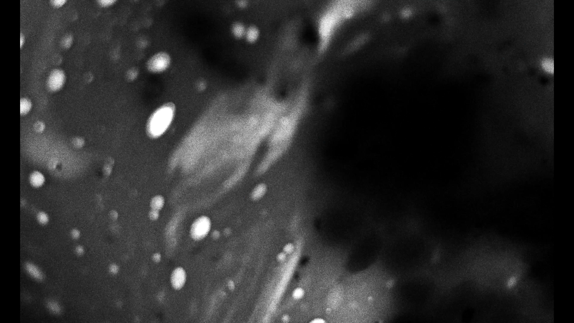 Screenshot 2026-04-06 at 11.57.50.png