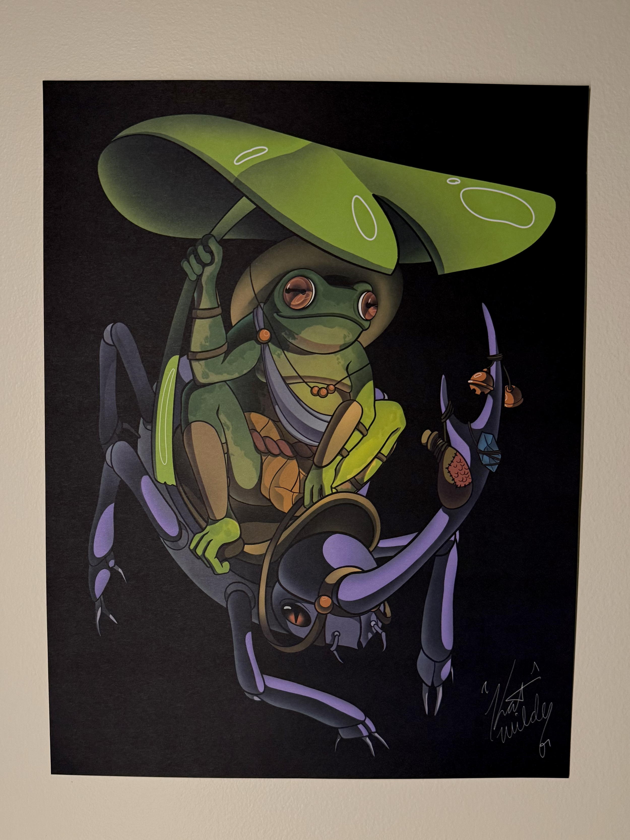 frog wall photo.png