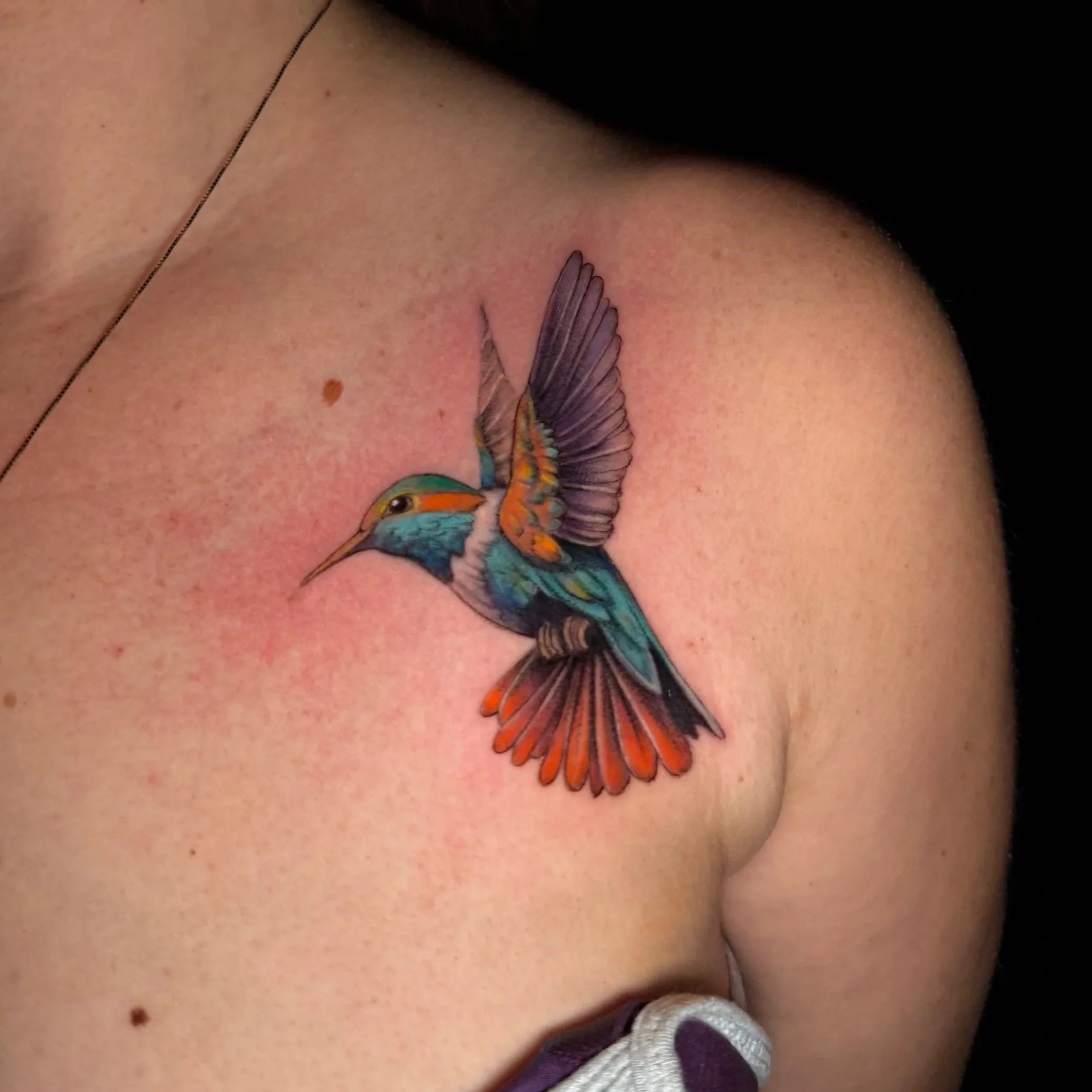 Hummingbird.jpg