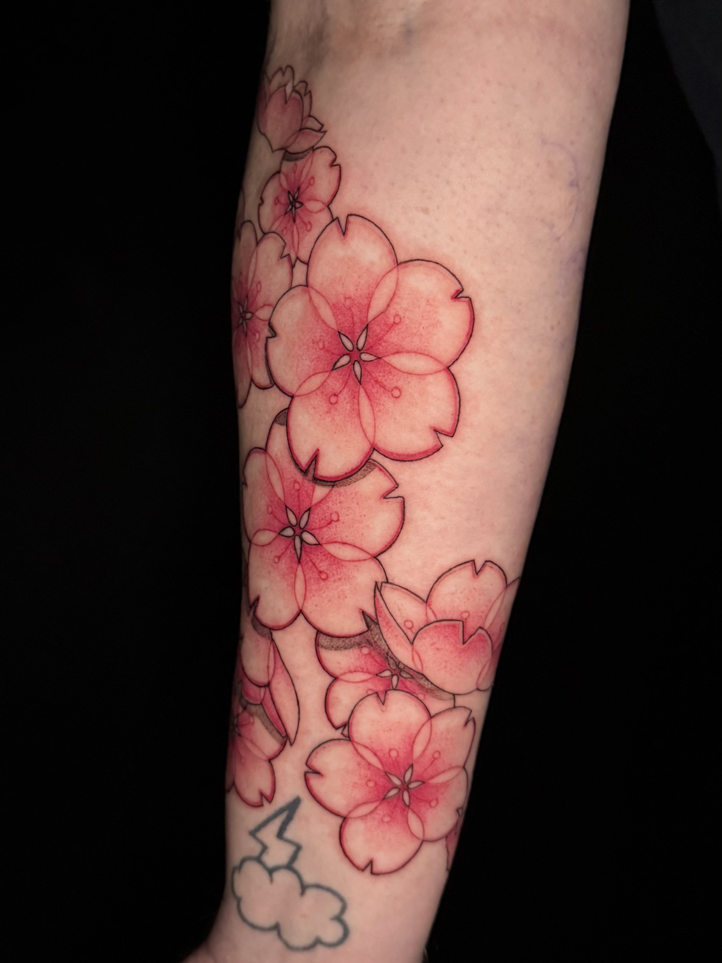 cherryblossums.png