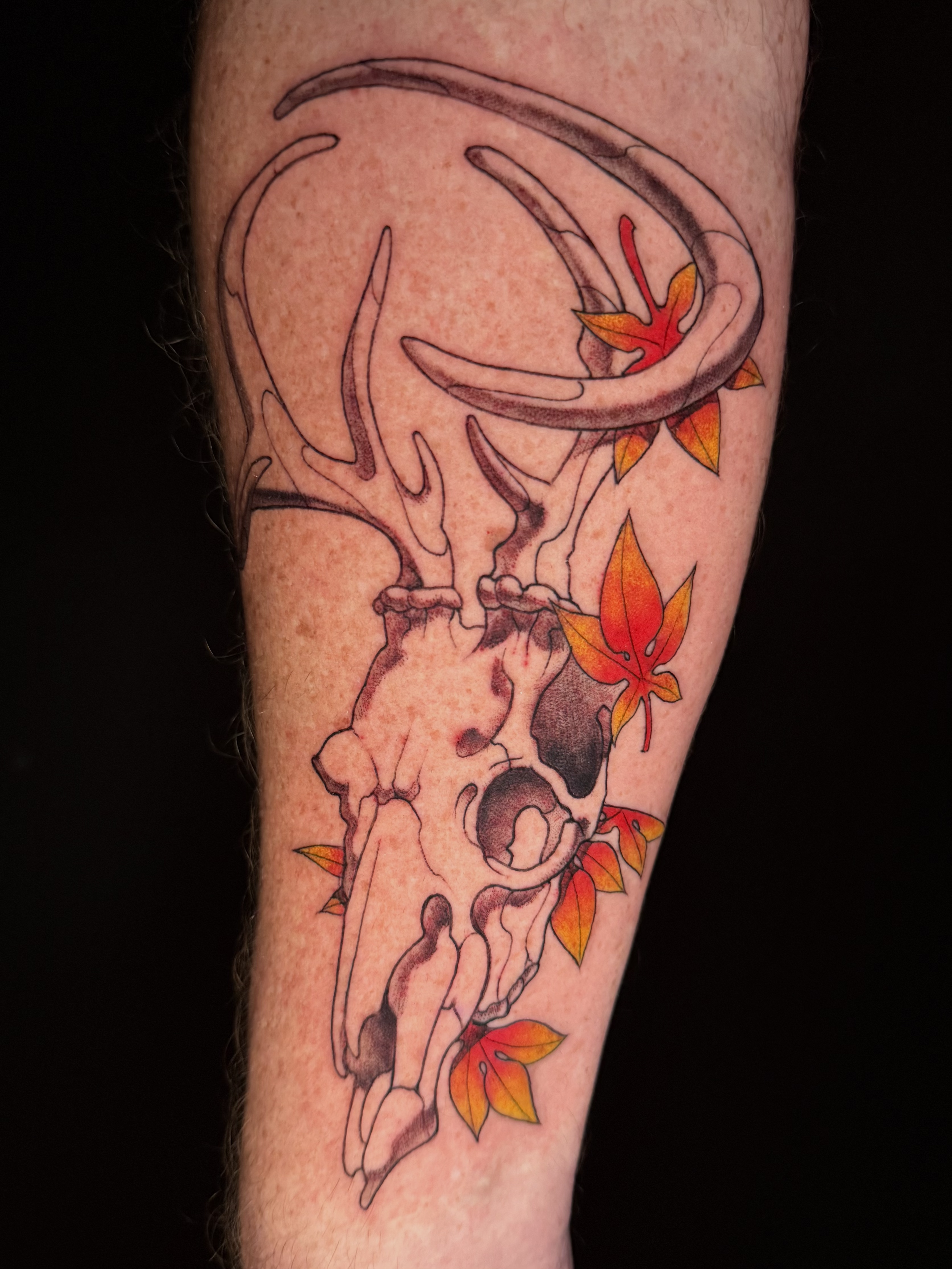 deerskull.png