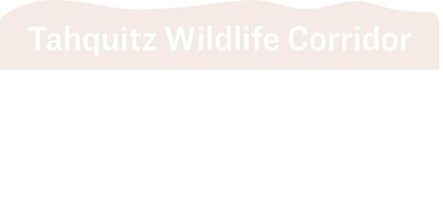 Save Our Desert