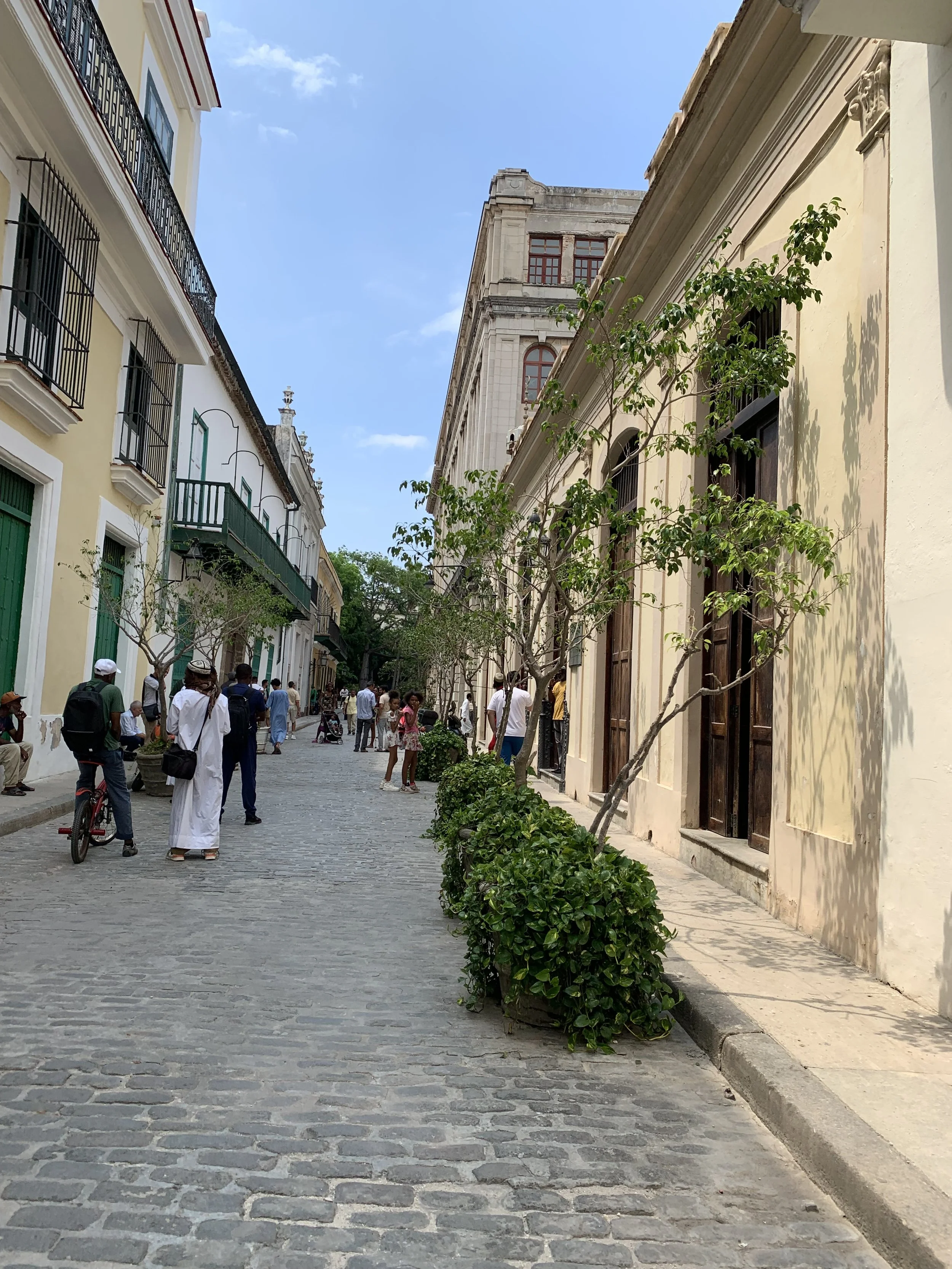 IMG_2903.jpeg