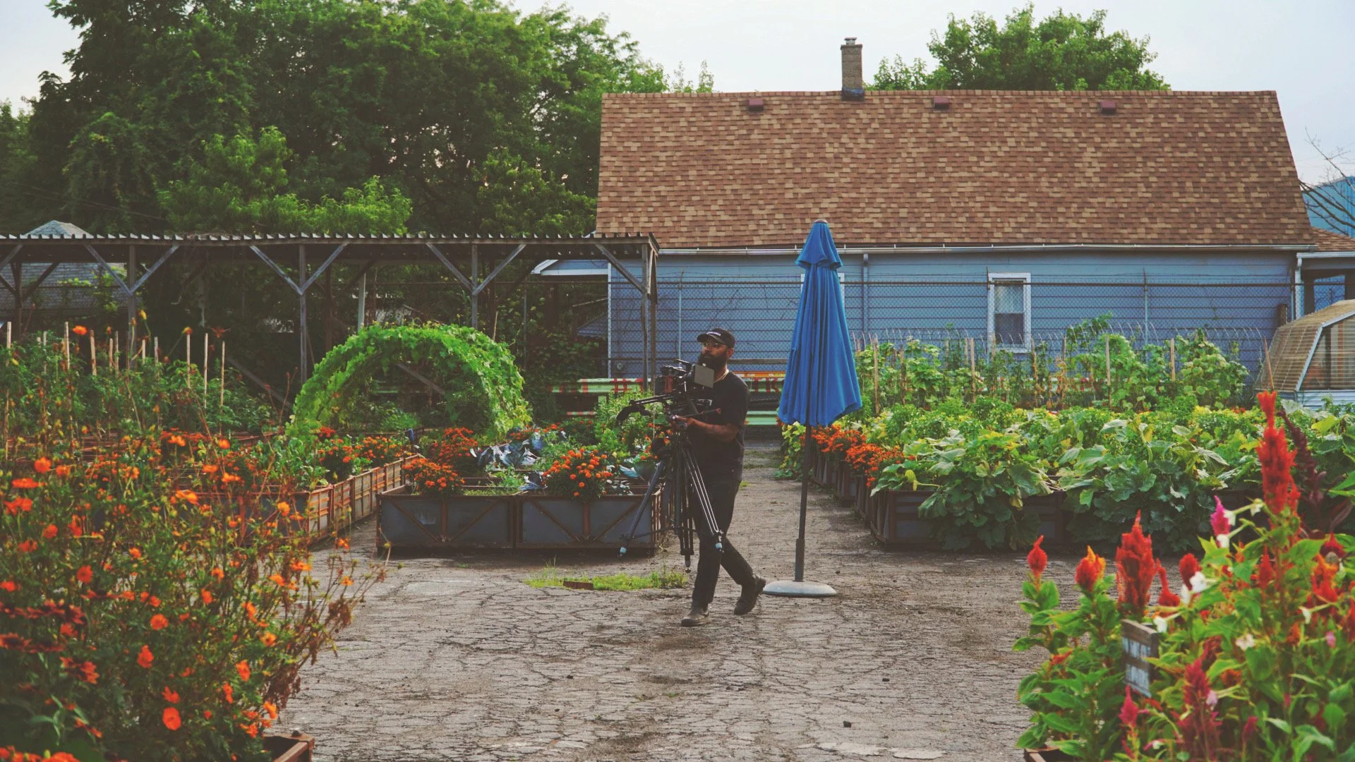 DSC01713_Afterlight_Afterlight.jpeg
