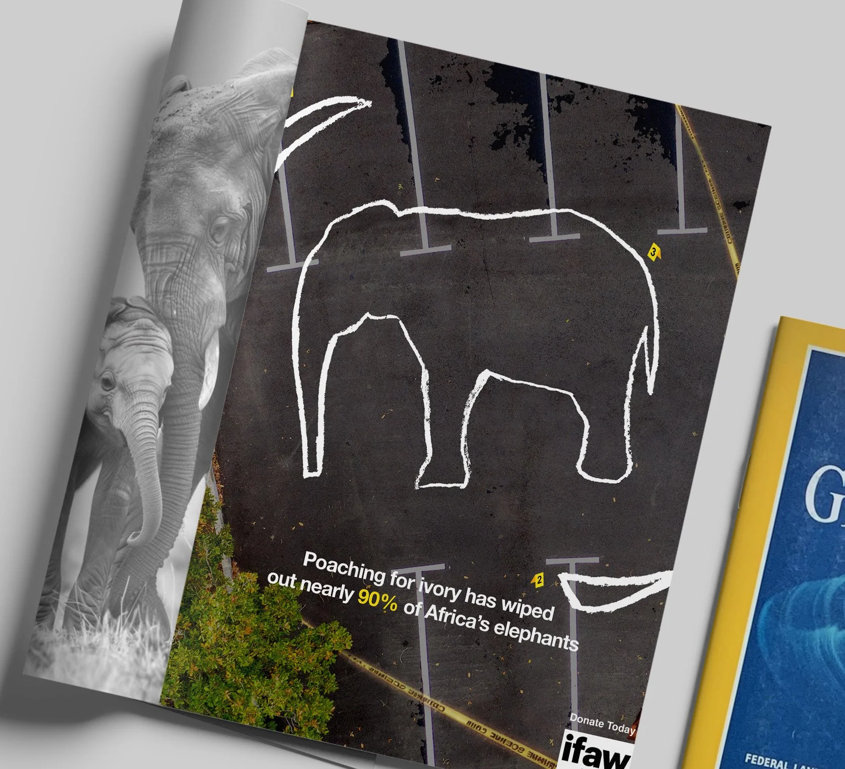 Social Awareness Campaign