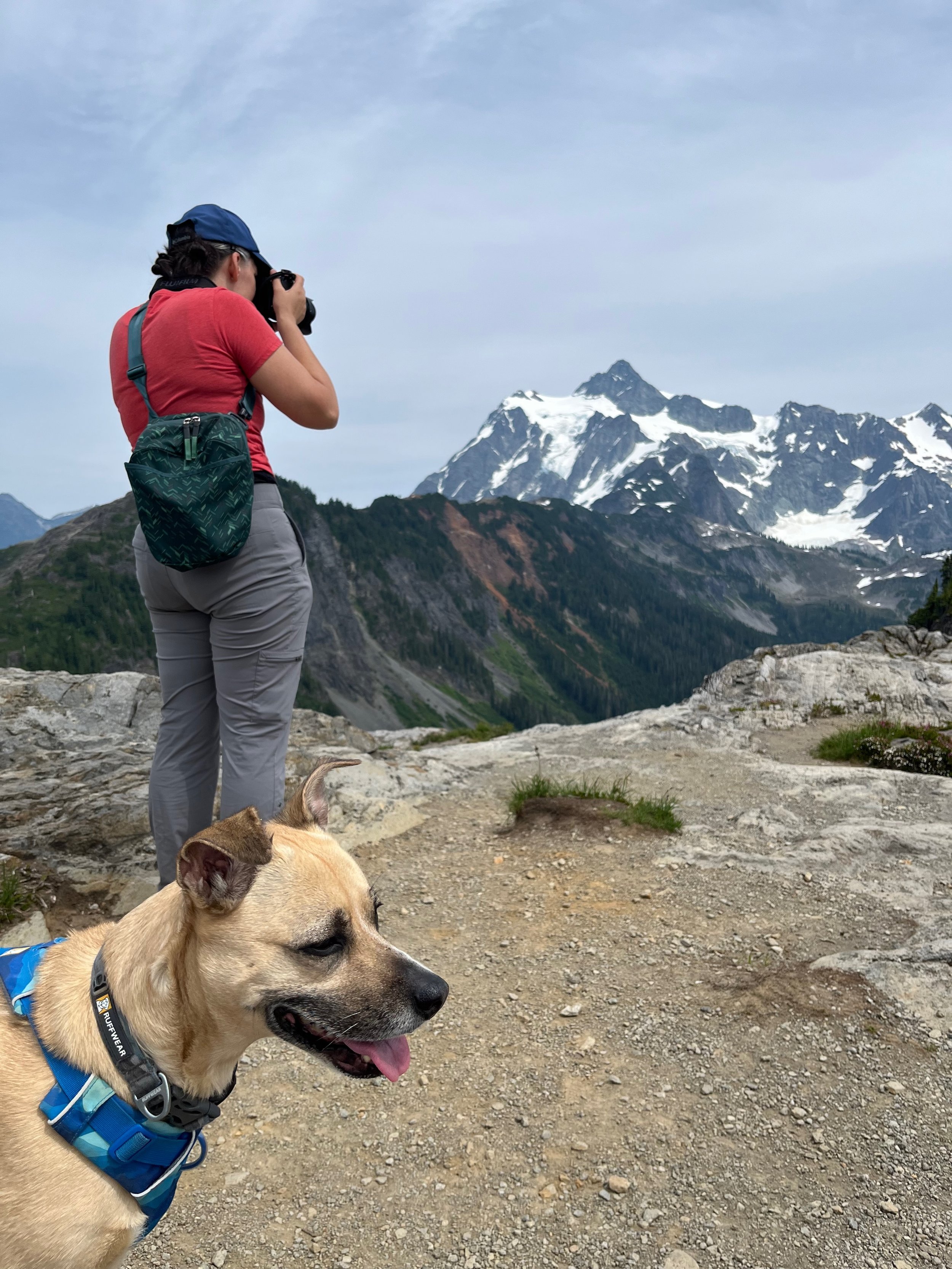 Lindsay Foreman holding a camera and taking a photo of snow-capped mountains in the background. A tan dog with a blue harness in the foreground.