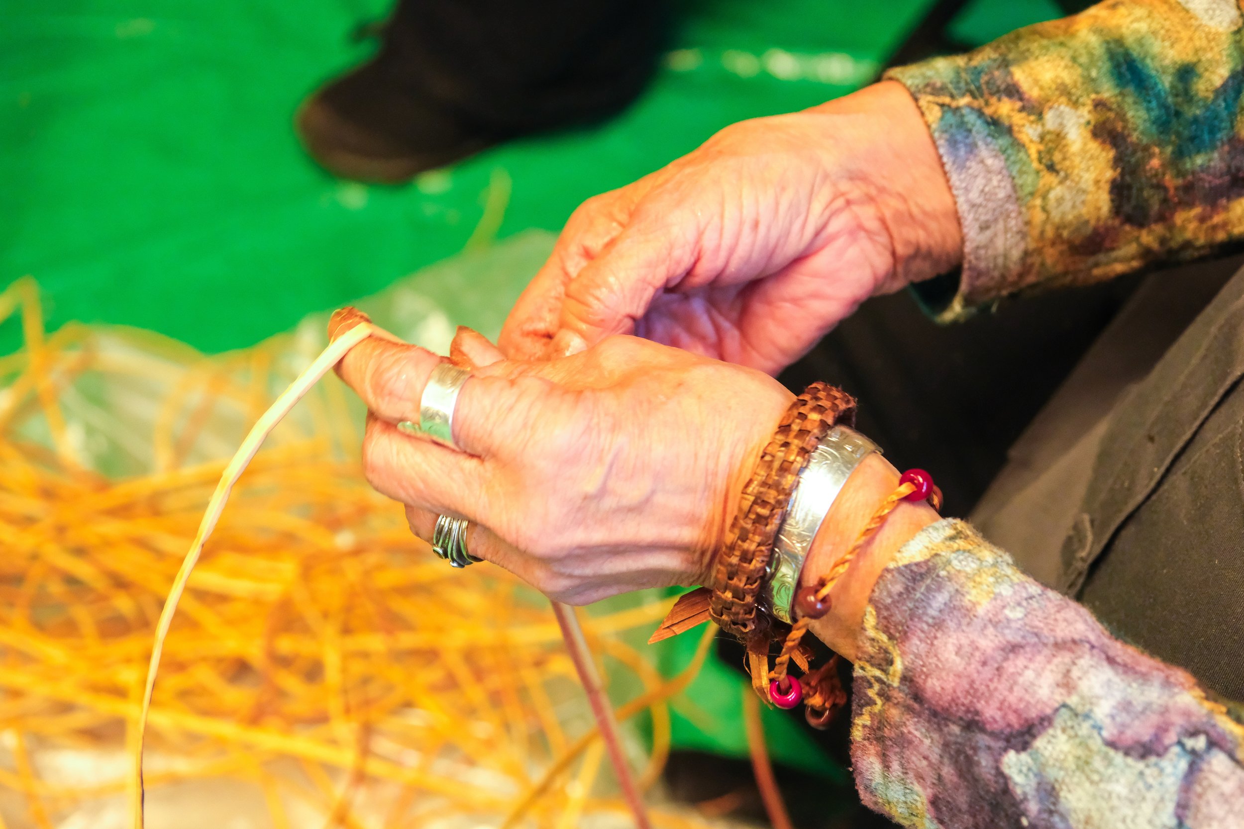 Close-up of elderly person's hands taking the outer bark off of strips of yellow cedar, wearing multiple bracelets and rings, with a green background and yellow cedar fibers in the foreground.