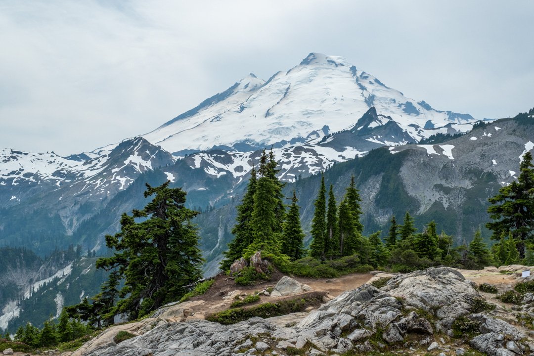 Snow-capped mountain with evergreen trees and rocky terrain in the foreground.