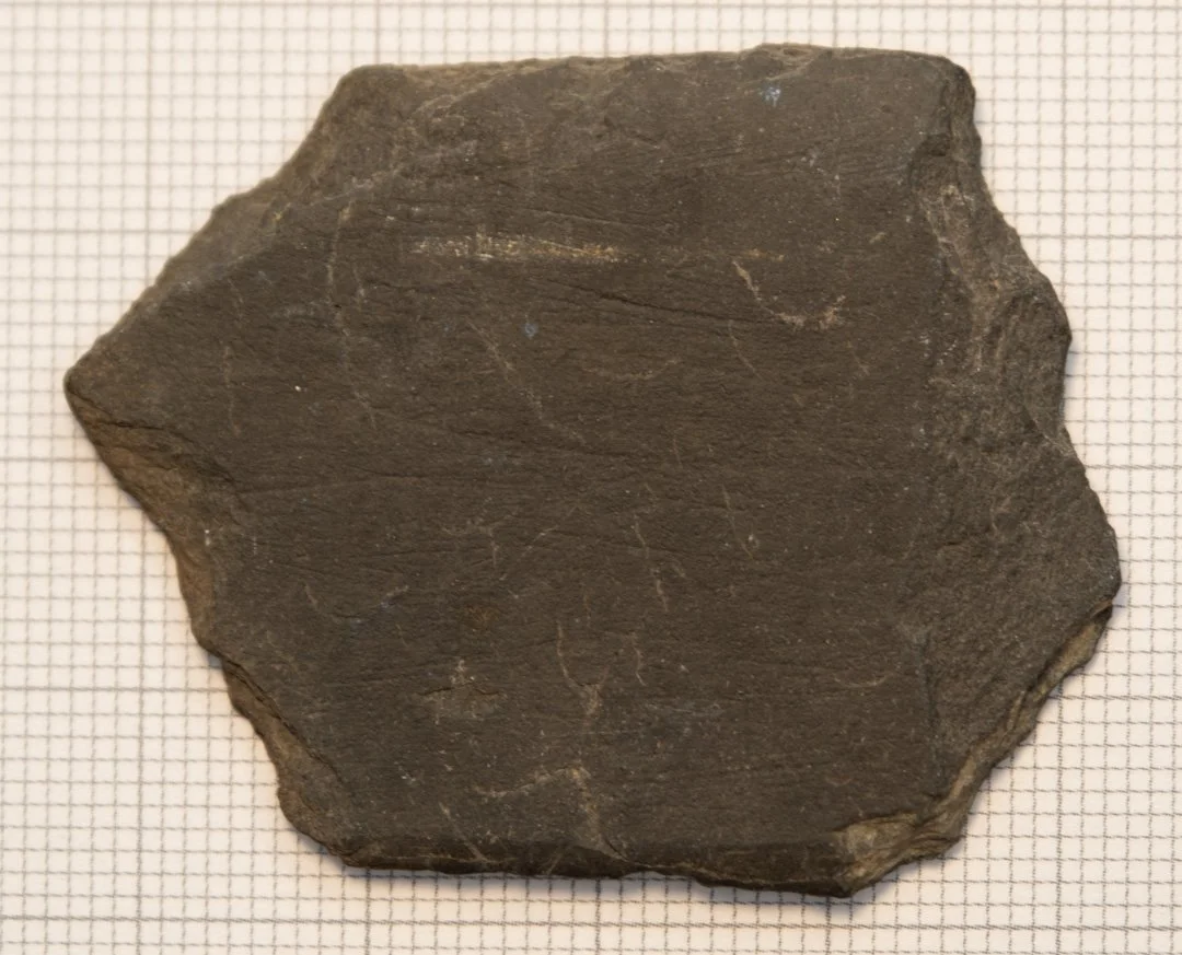 A dark-colored, irregularly shaped slate stone with visible striations on its surface placed on a grid background.