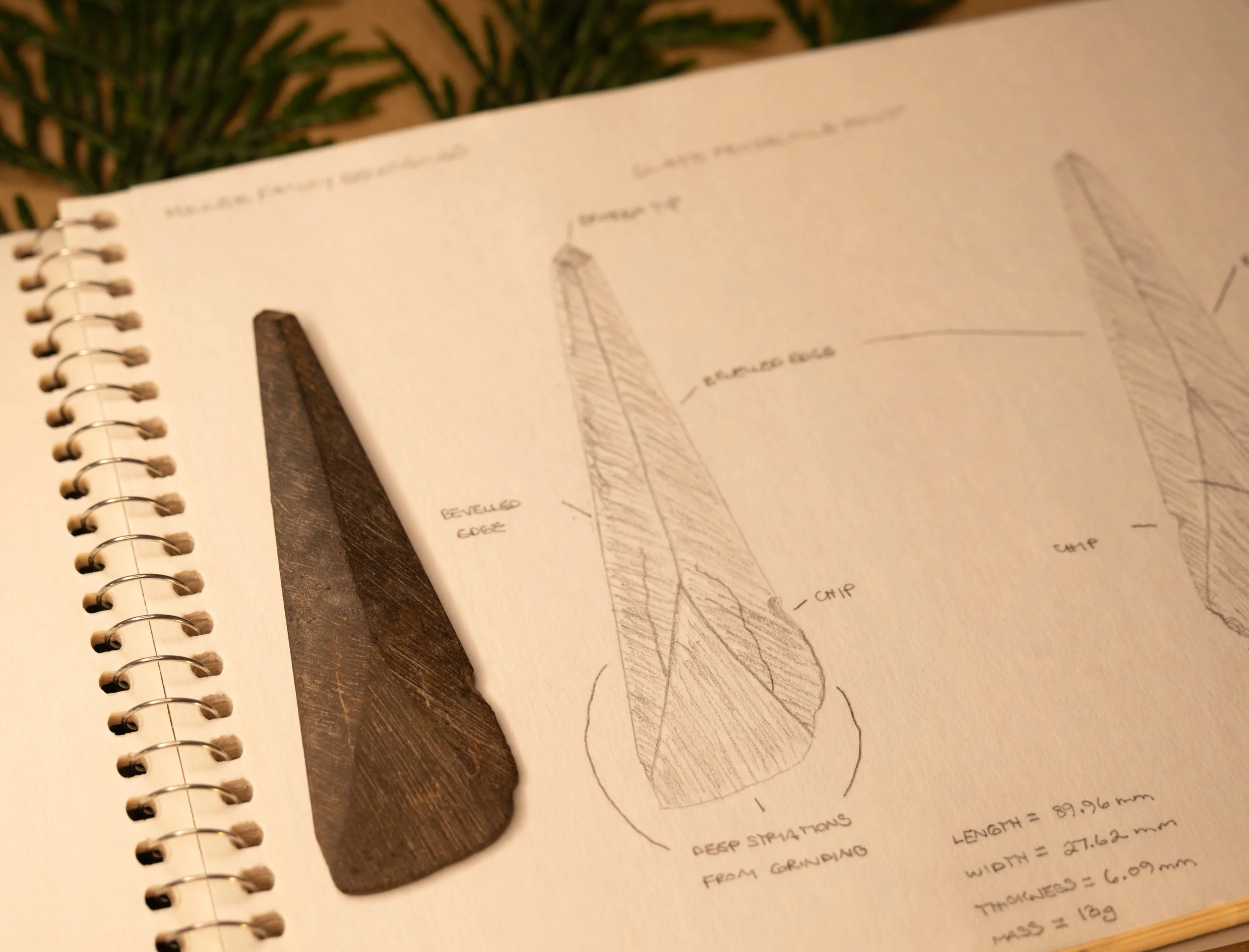 A sketch of a slate spear point (artifact) with measurements and notes.