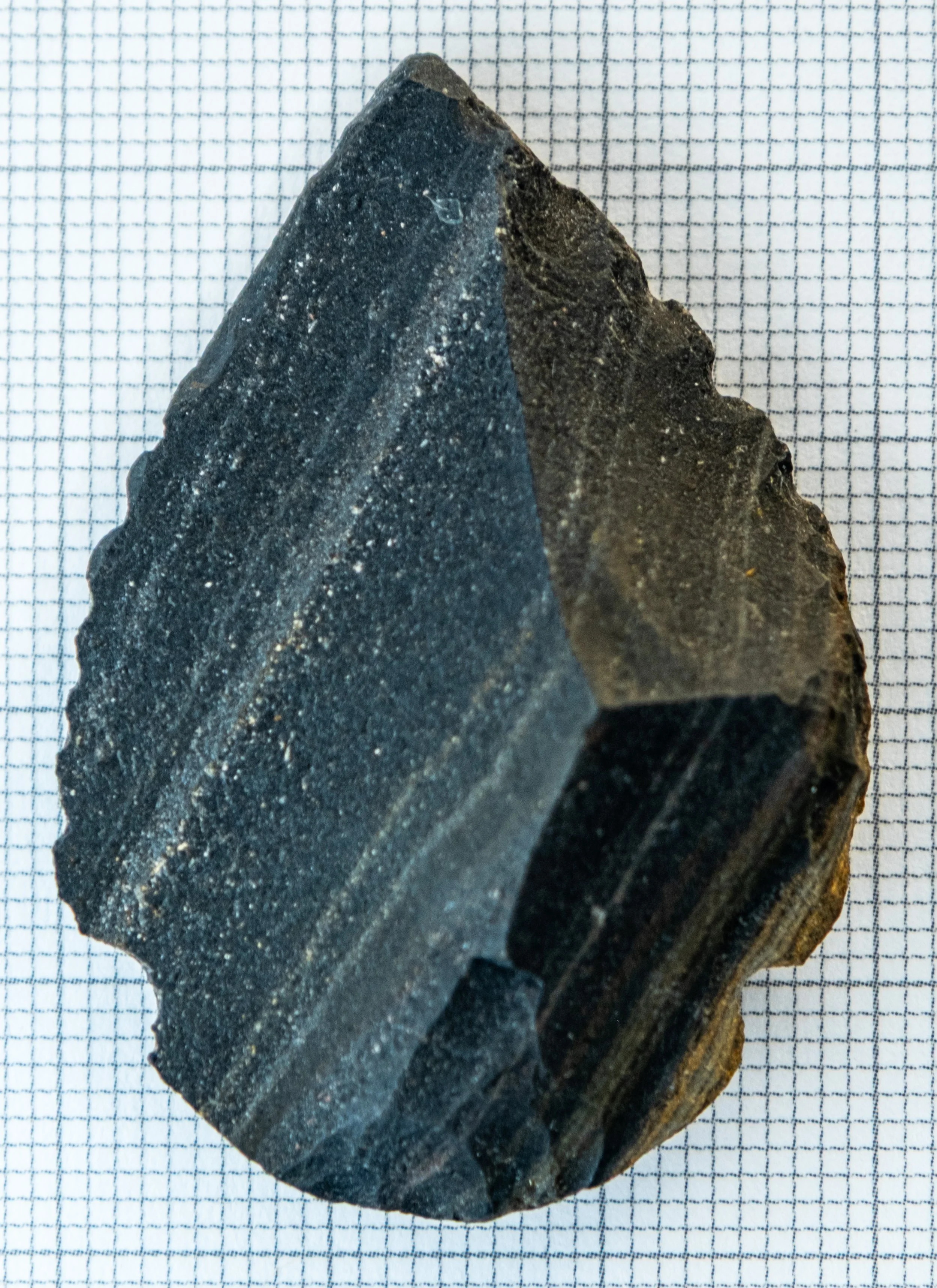 A black and grey banded triangular-shaped spear point with serrated edges on graph paper. This is an ancestral Coast Salish belonging.