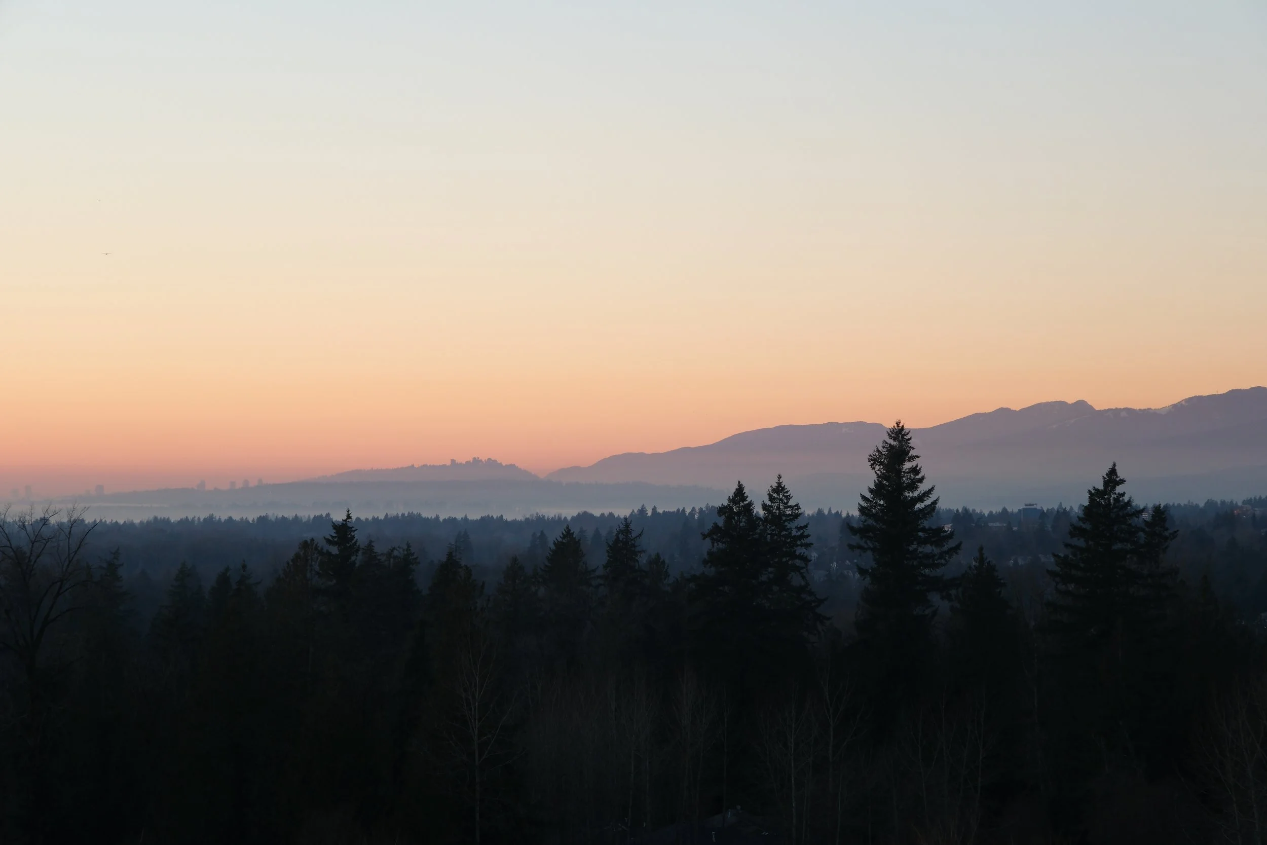A scenic view of mountains in the distance with a layered sky at sunset and silhouettes of trees in the foreground.