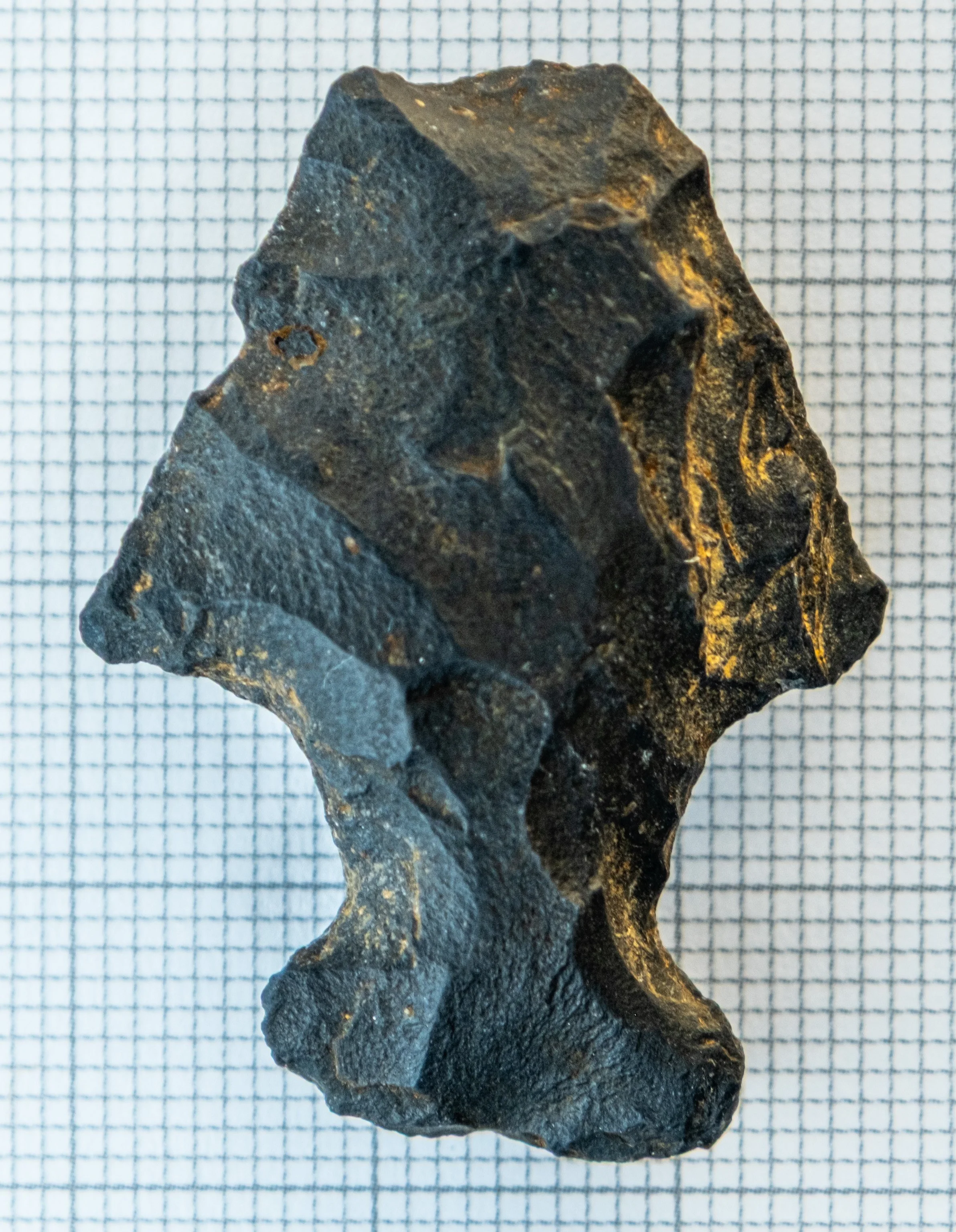 Close-up of a dark, triangular-shaped stone with rough texture, placed on graph paper. This is an ancestral Coast Salish spear point.