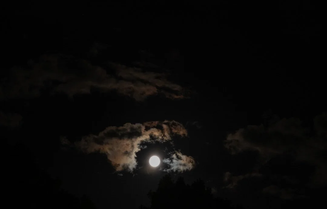 Night sky with a bright full moon surrounded by dark clouds and silhouetted trees.