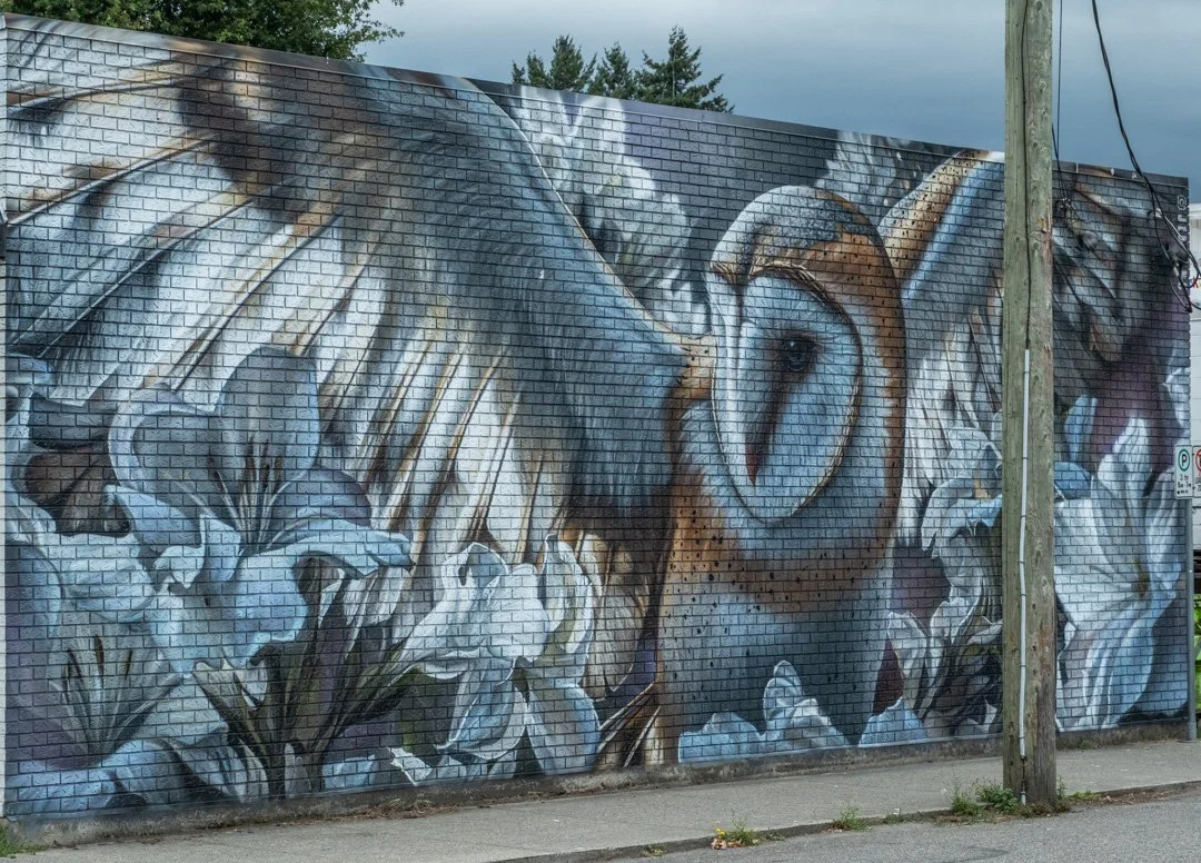 Mural painting of a barn owl perched among white lilies, painted on a brick wall with a utility pole in front.