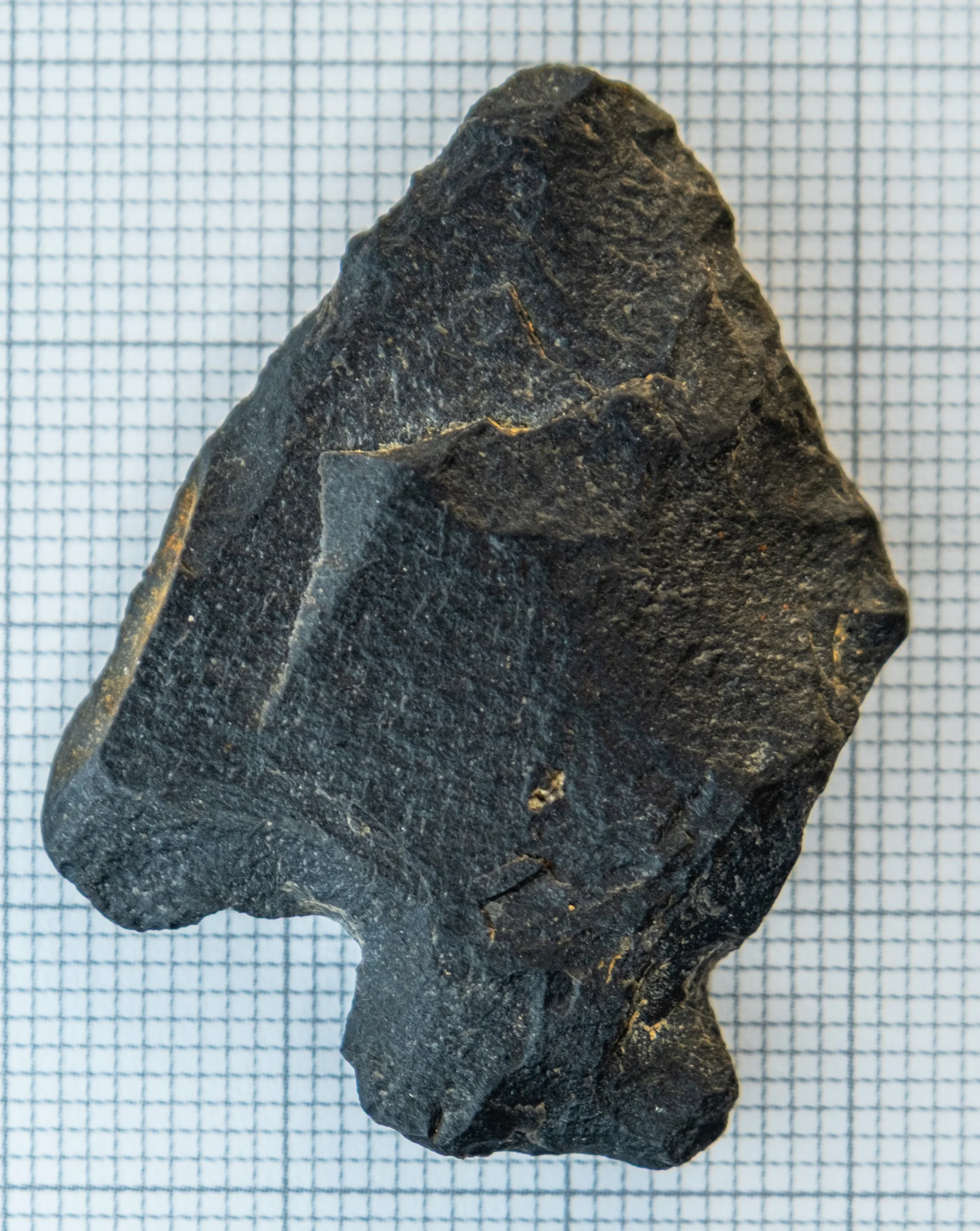 A dark gray, roughly triangular-shaped stone with a rough surface and some visible cracks, placed on graph paper. This is an ancestral Coast Salish spear point.