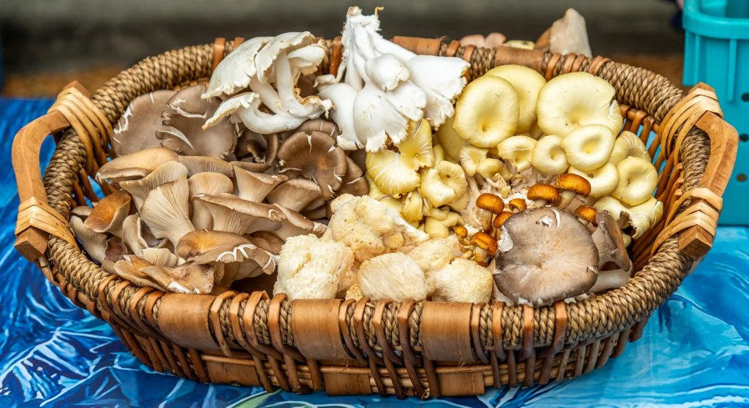 Assortment of fresh wild mushrooms in a woven basket on a blue surface.