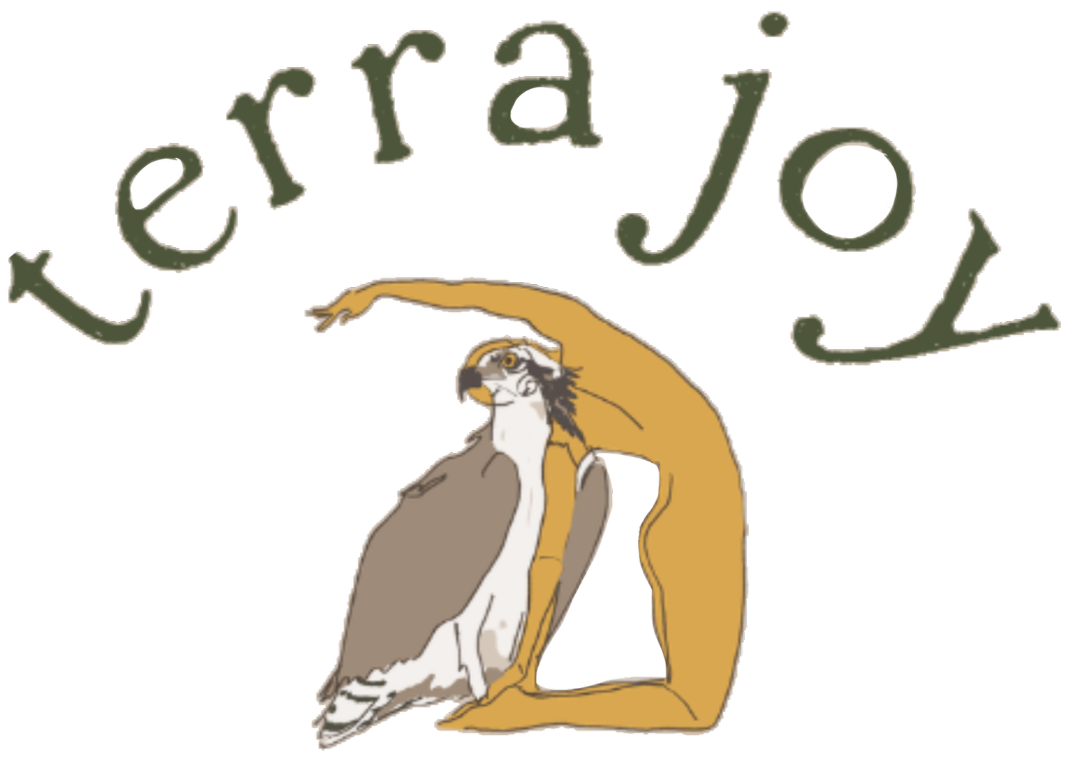 terra joy