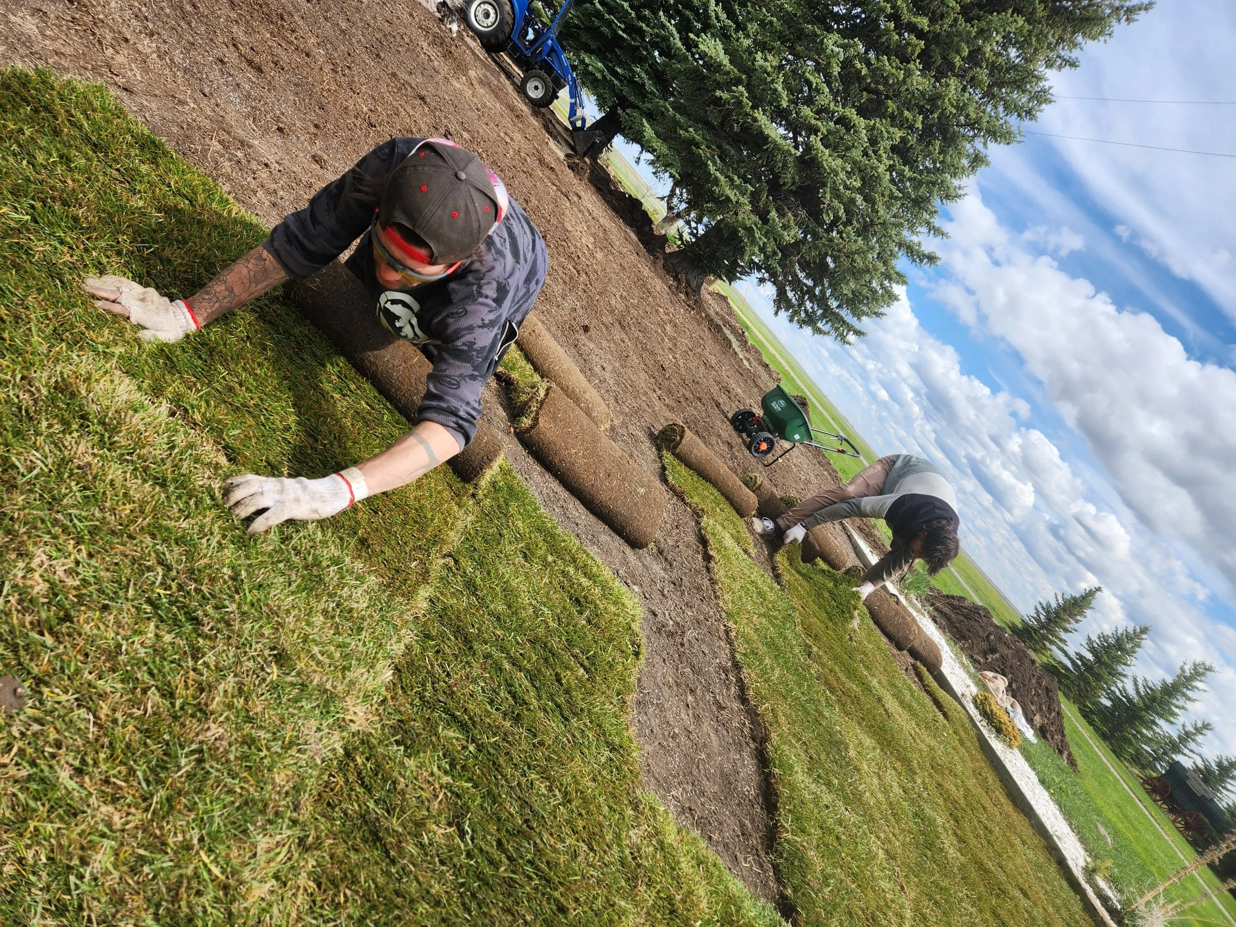 Two people laying sod in a yard, with one person in the foreground and another in the background, all working on a landscaping project in a rural area.