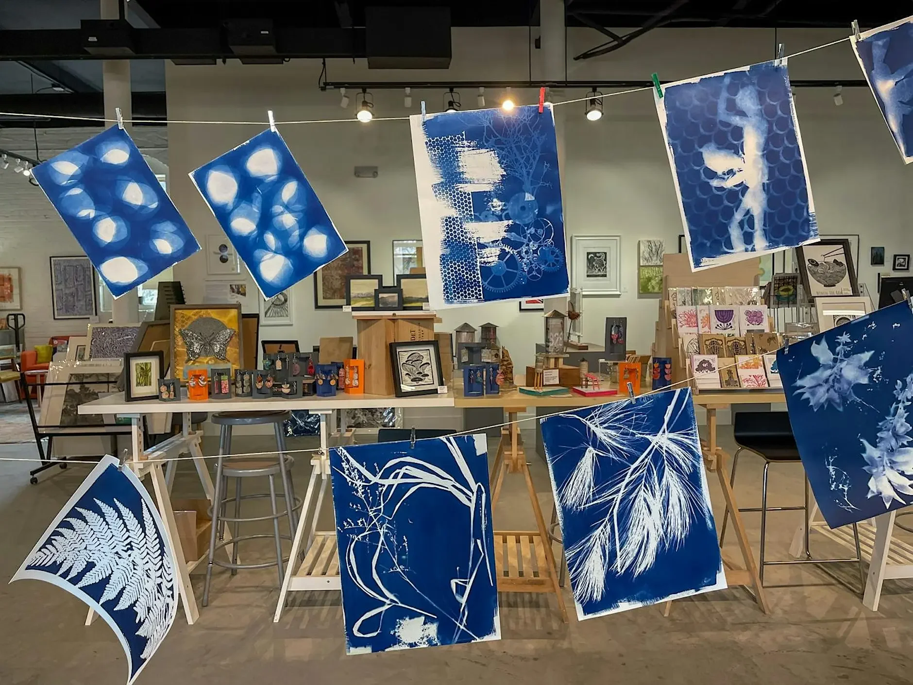 intro to cyanotype (sun printing) 