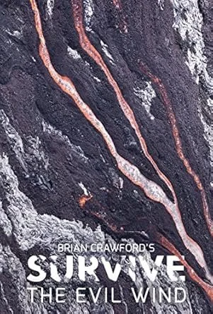 Close-up of dark, textured rock surface with veins of reddish-brown minerals.