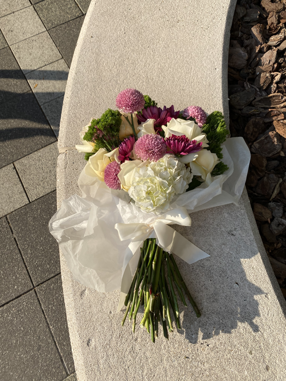 IMG_1705.png
