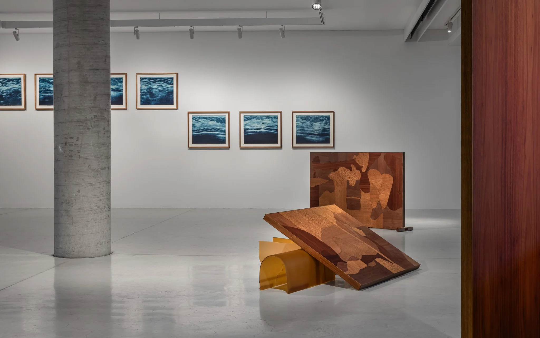 A river runs through, 2026, install view. Photo: Jacquie Manning