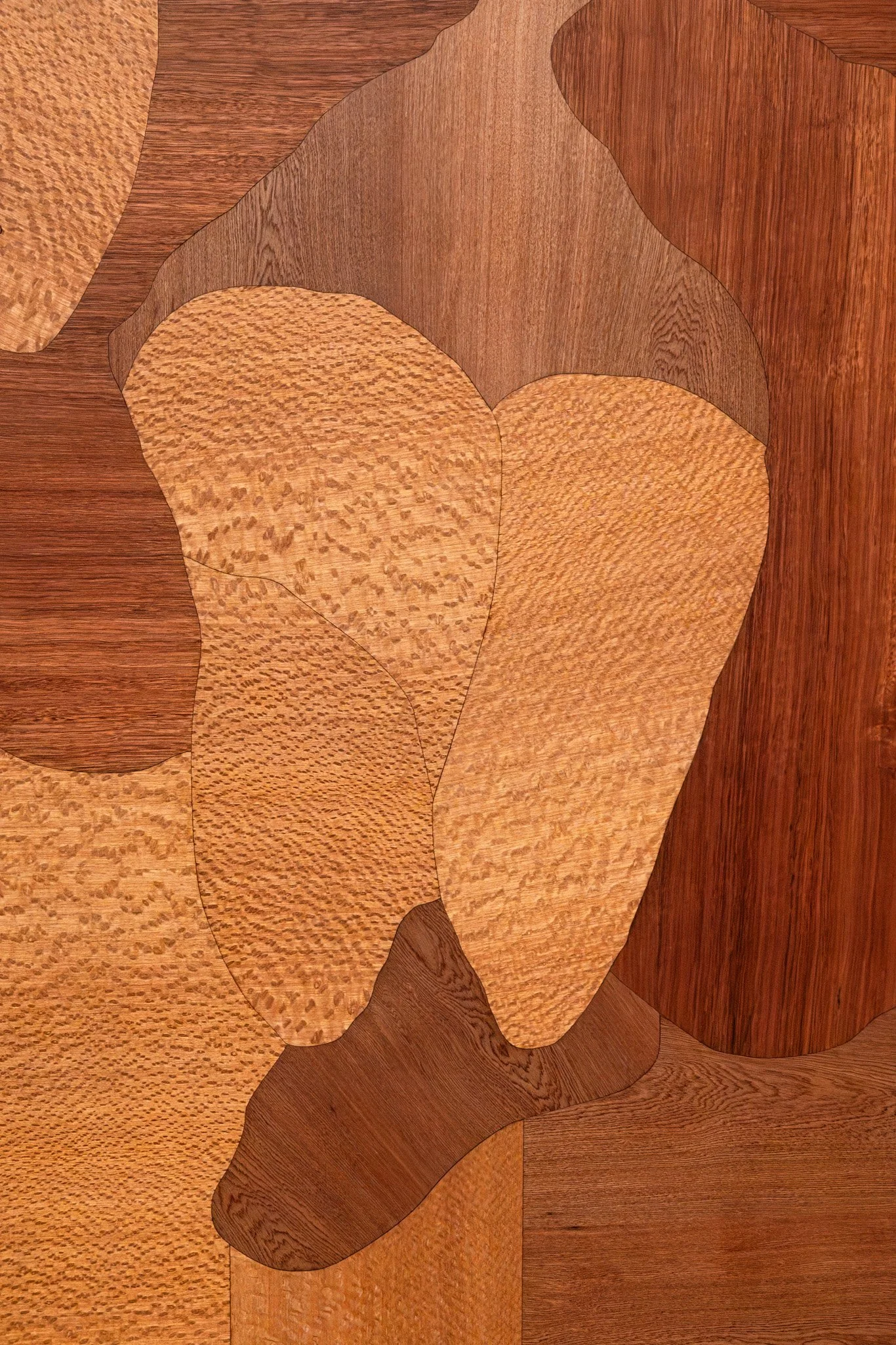 False antithesis I (detail), 2026, kiln formed glass, timber marquetry, dimensions variable. Photo: Jacquie Manning