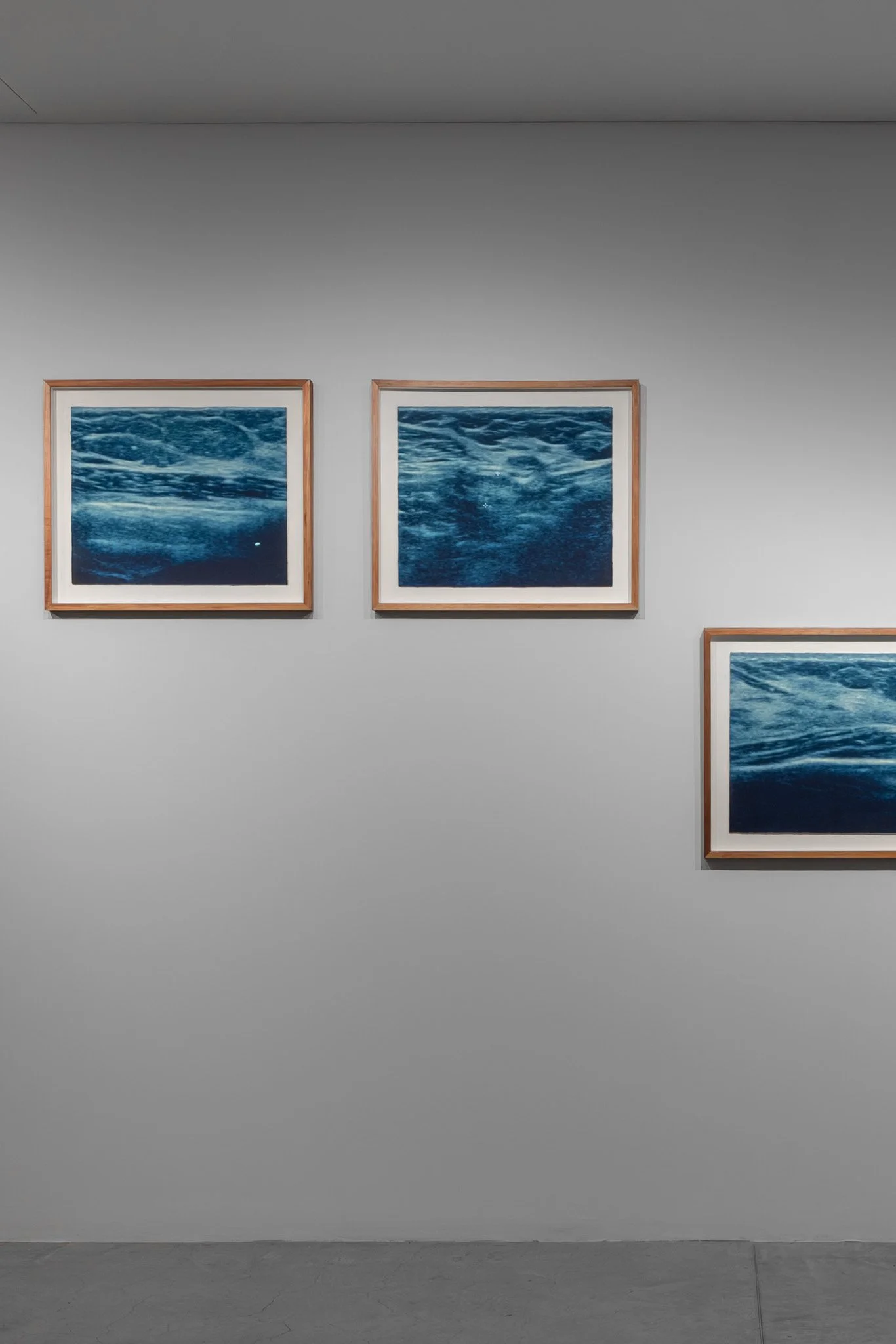 Hiddener abode I–VII (detail), 2025, photopolymer photogravure on 300gsm satin white paper 7–parts, 500 × 600mm (each). Photo: Jacquie Manning