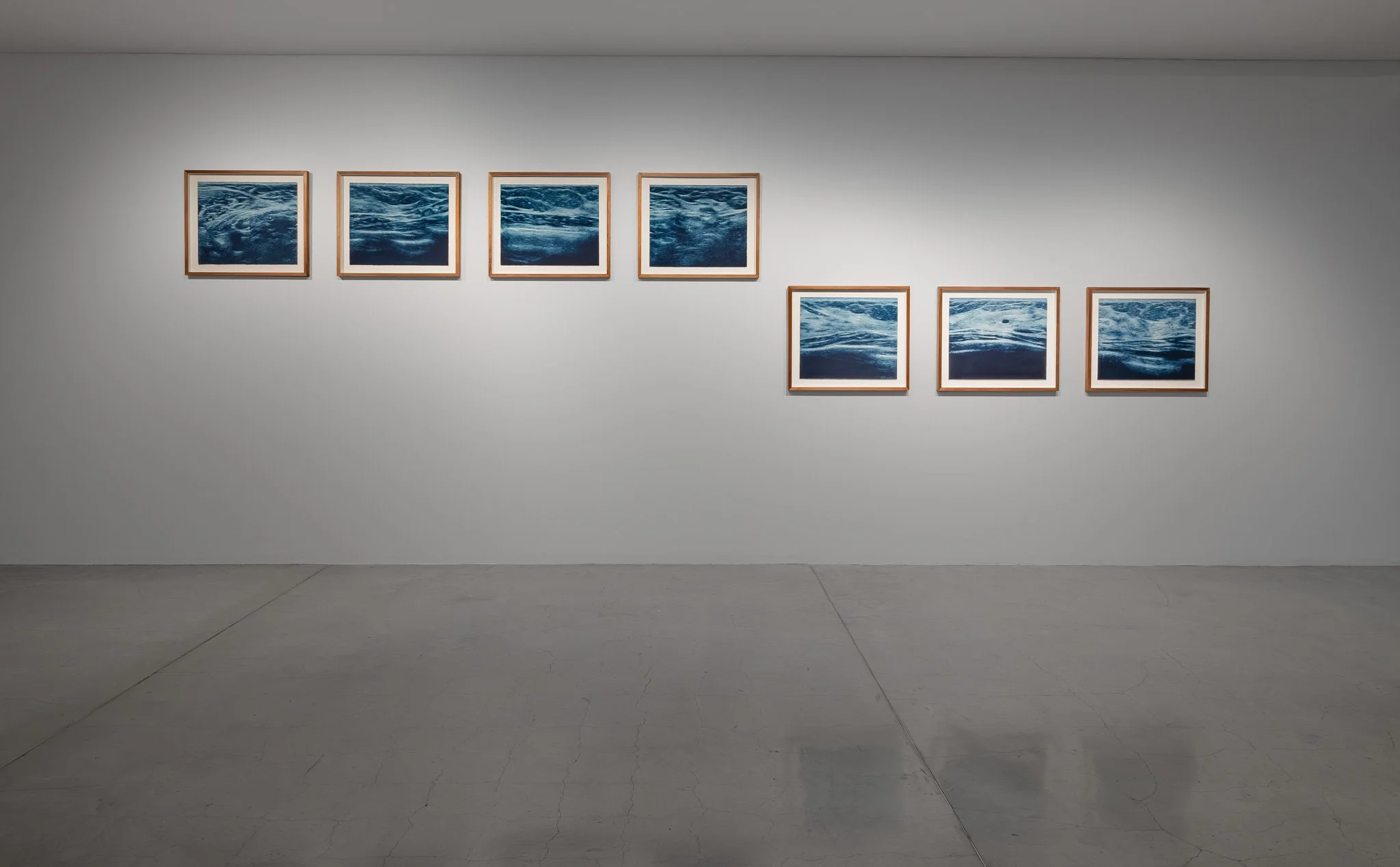 Hiddener abode I–VII, 2025, photopolymer photogravure on 300gsm satin white paper 7–parts, 500 × 600mm (each). Photo: Jacquie Manning