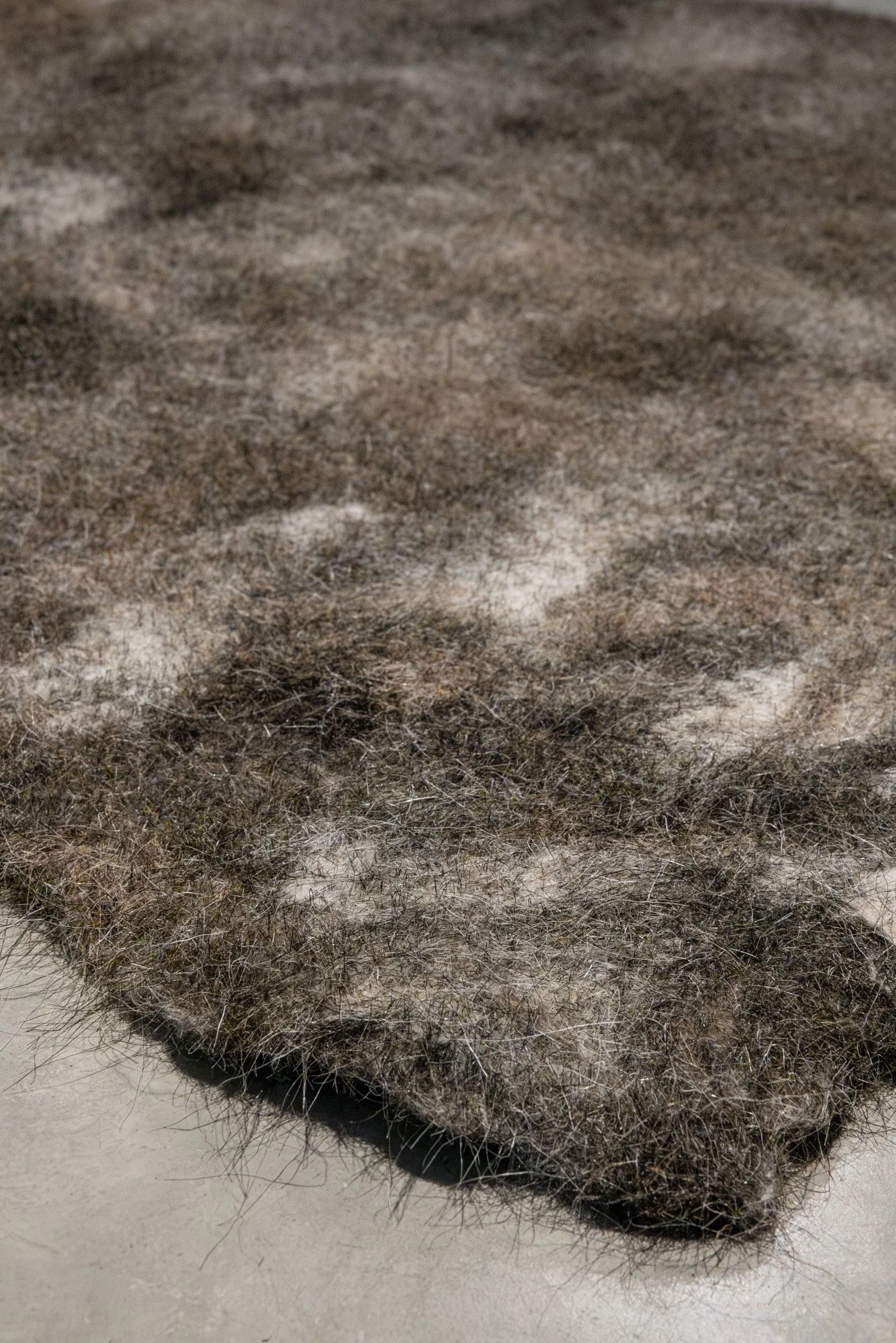 False antithesis II (detail), 2026, kiln-formed glass, blackwood, felted feral goat fibre, dimensions variable. Photo: Jacquie Manning