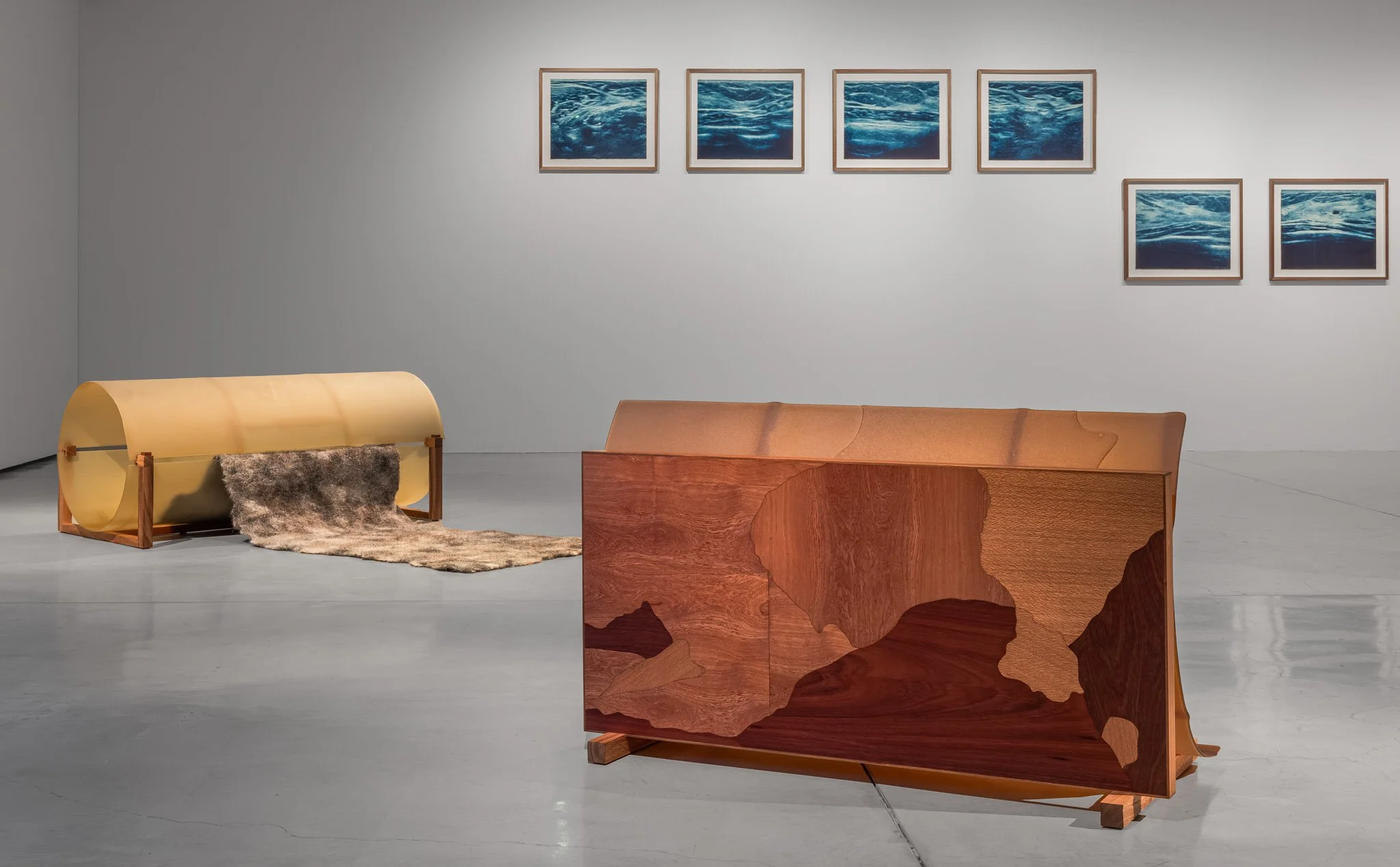 A river runs through, 2026, install view. Photo: Jacquie Manning