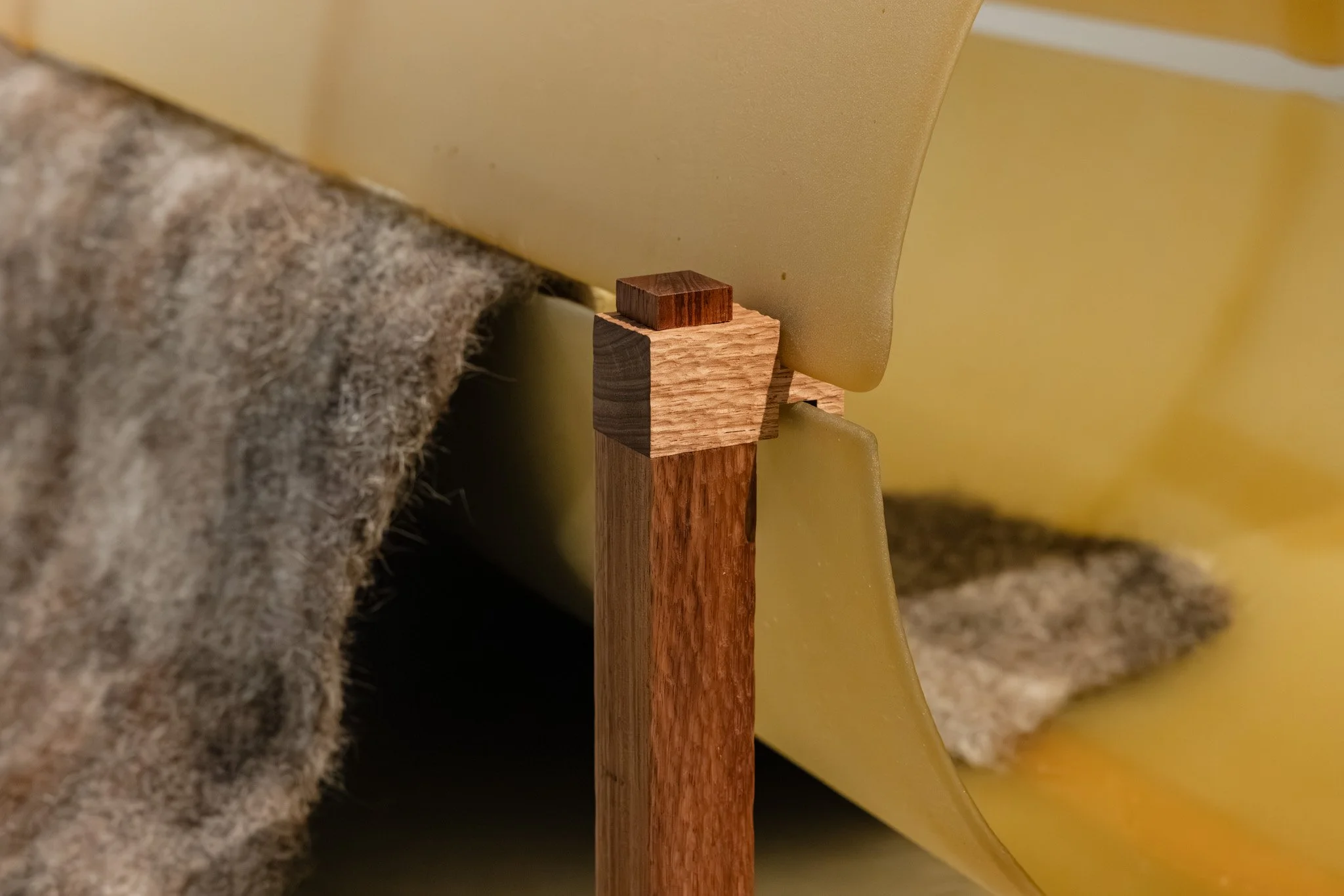 False antithesis II (detail), 2026, kiln-formed glass, blackwood, felted feral goat fibre, dimensions variable. Photo: Jacquie Manning