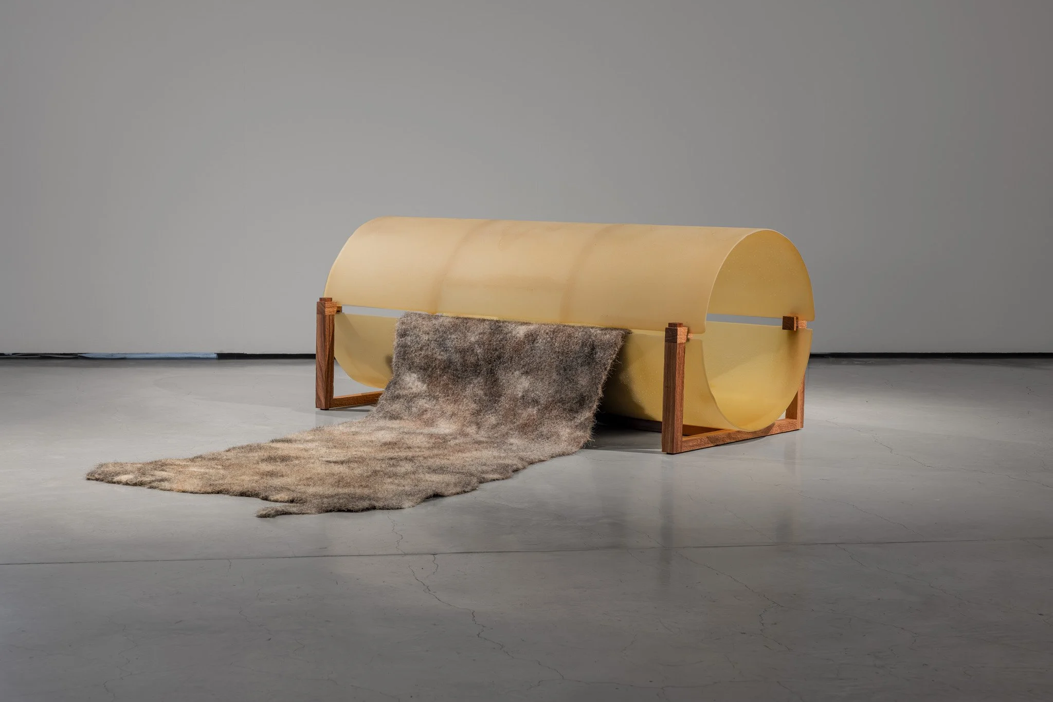 False antithesis II, 2026, kiln-formed glass, blackwood, felted feral goat fibre, dimensions variable. Photo: Jacquie Manning