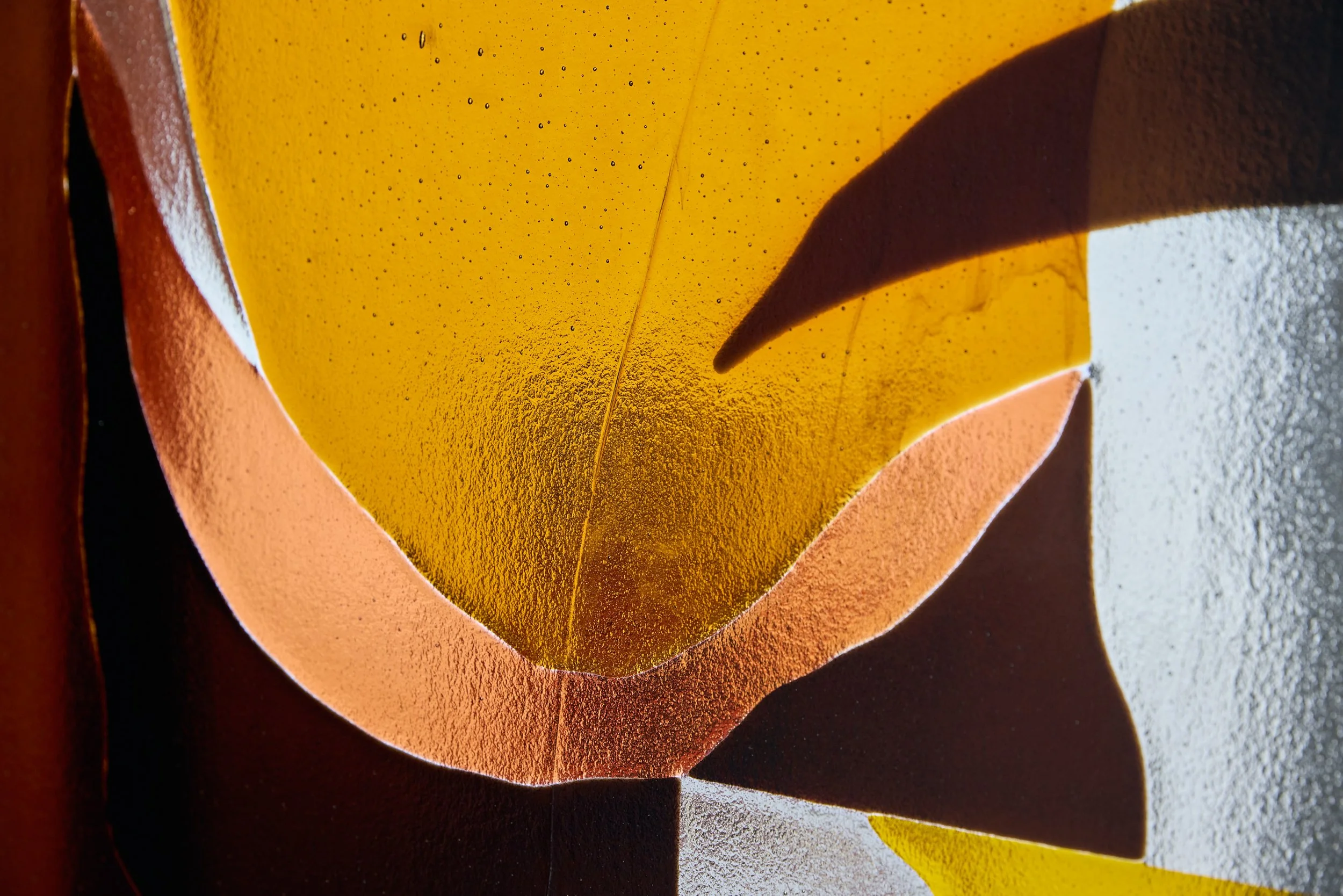 Minor truths III (detail), 2022, kiln formed glass, jarrah. Photo:  Jeremy Weihrauch