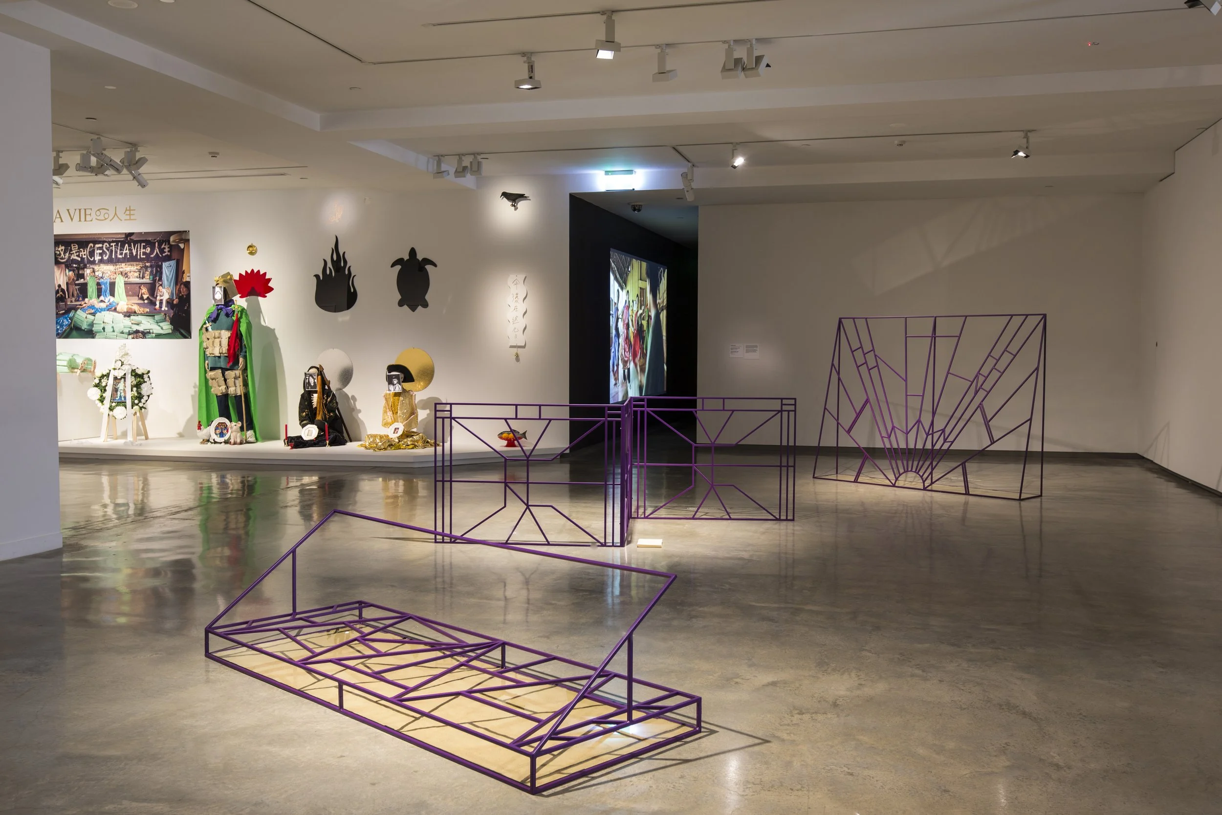 Hard forms, soft lives, 2018, install view. Photo: Alex Davies