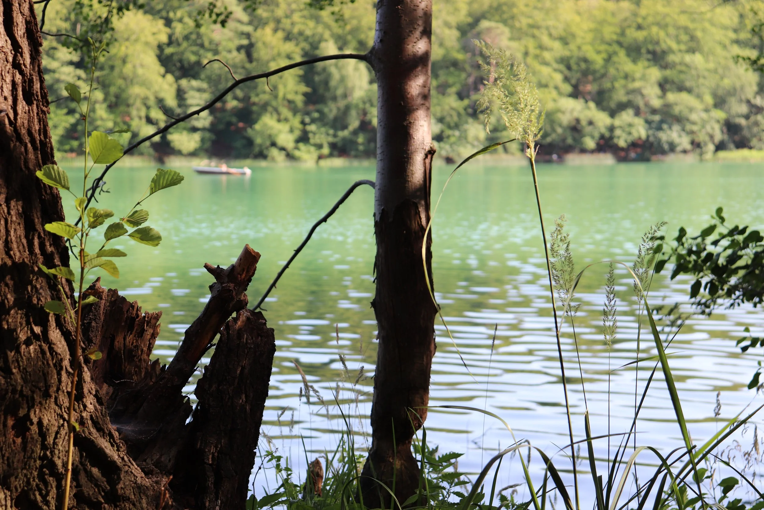 Liepnitzsee, Wandlitz, Germany, Summer 2019