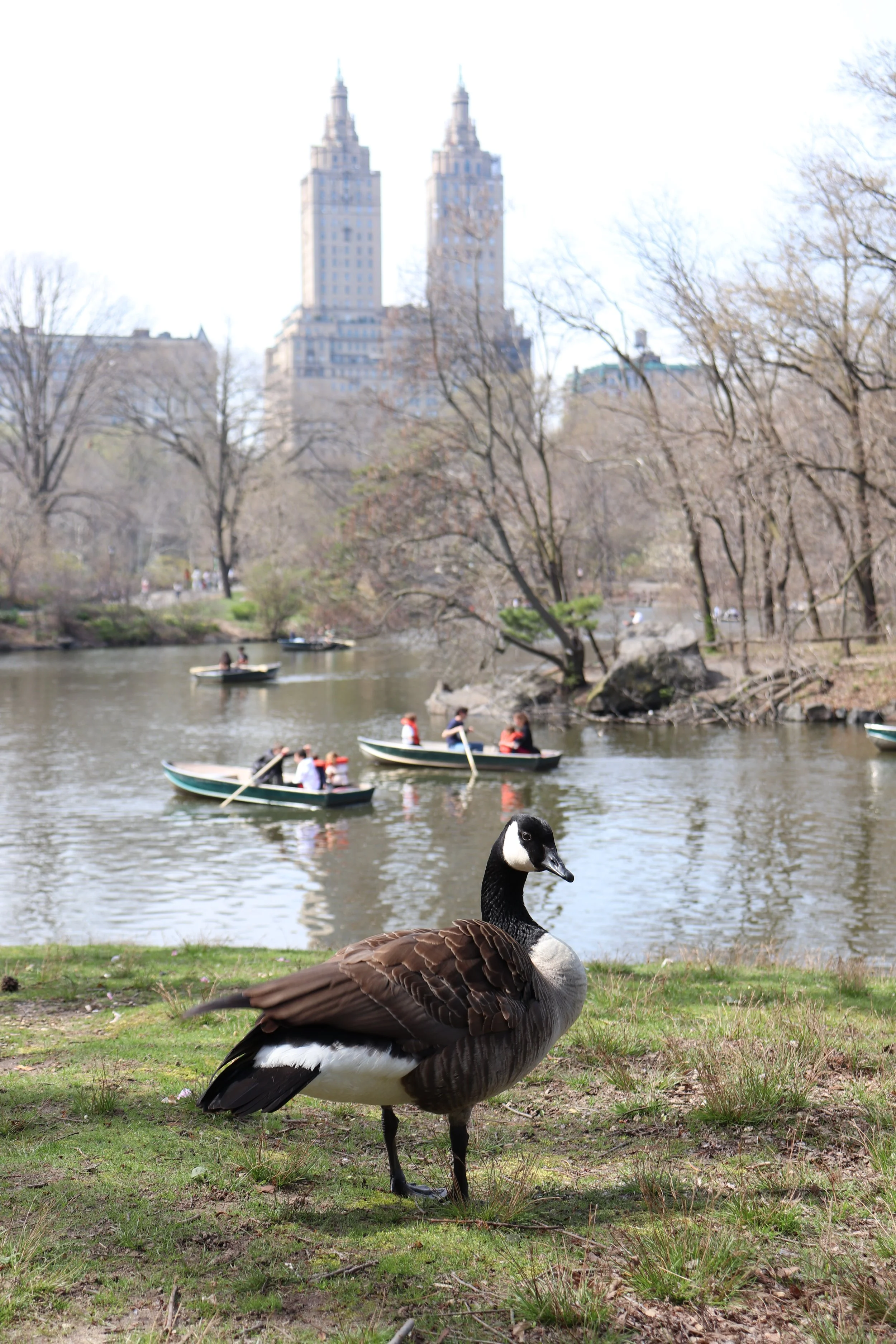 Central Park, Manhattan, New York, October 2022