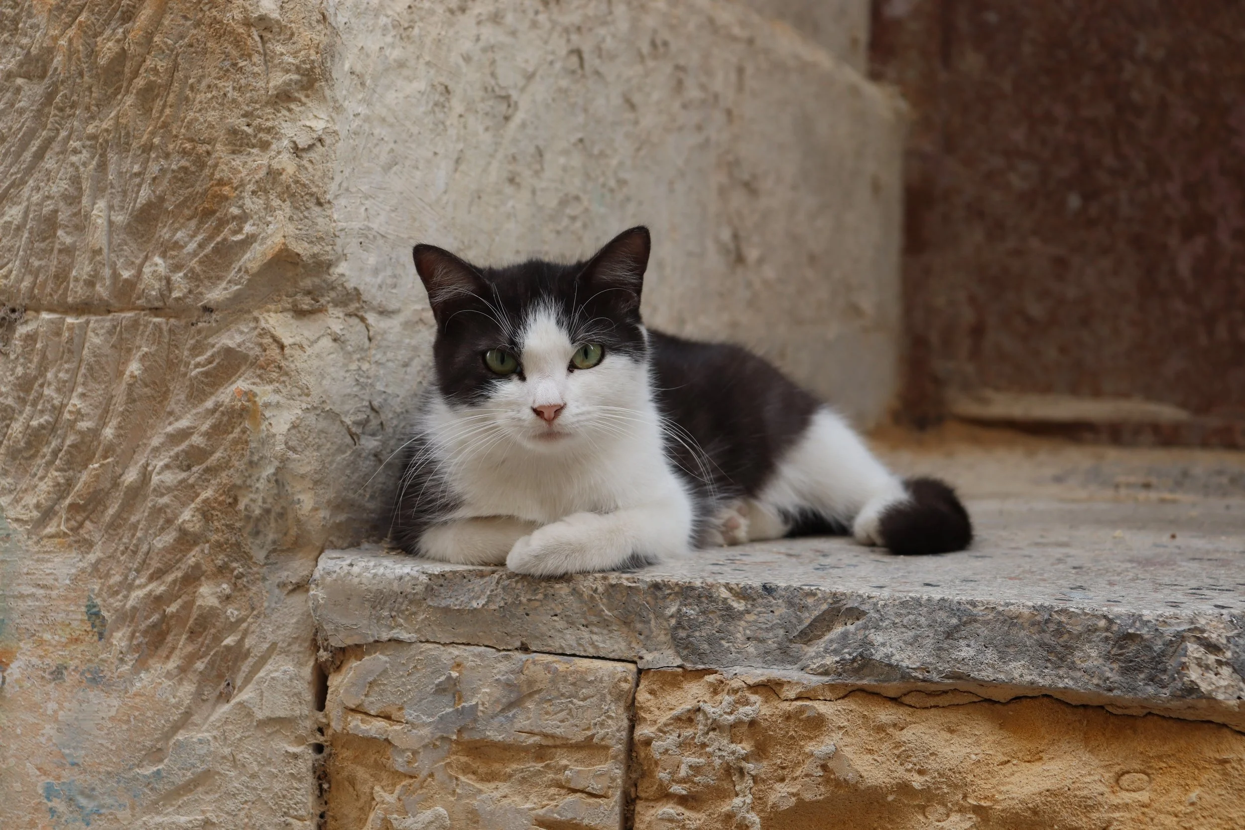 Lecce, Puglia, Italy, September 2021