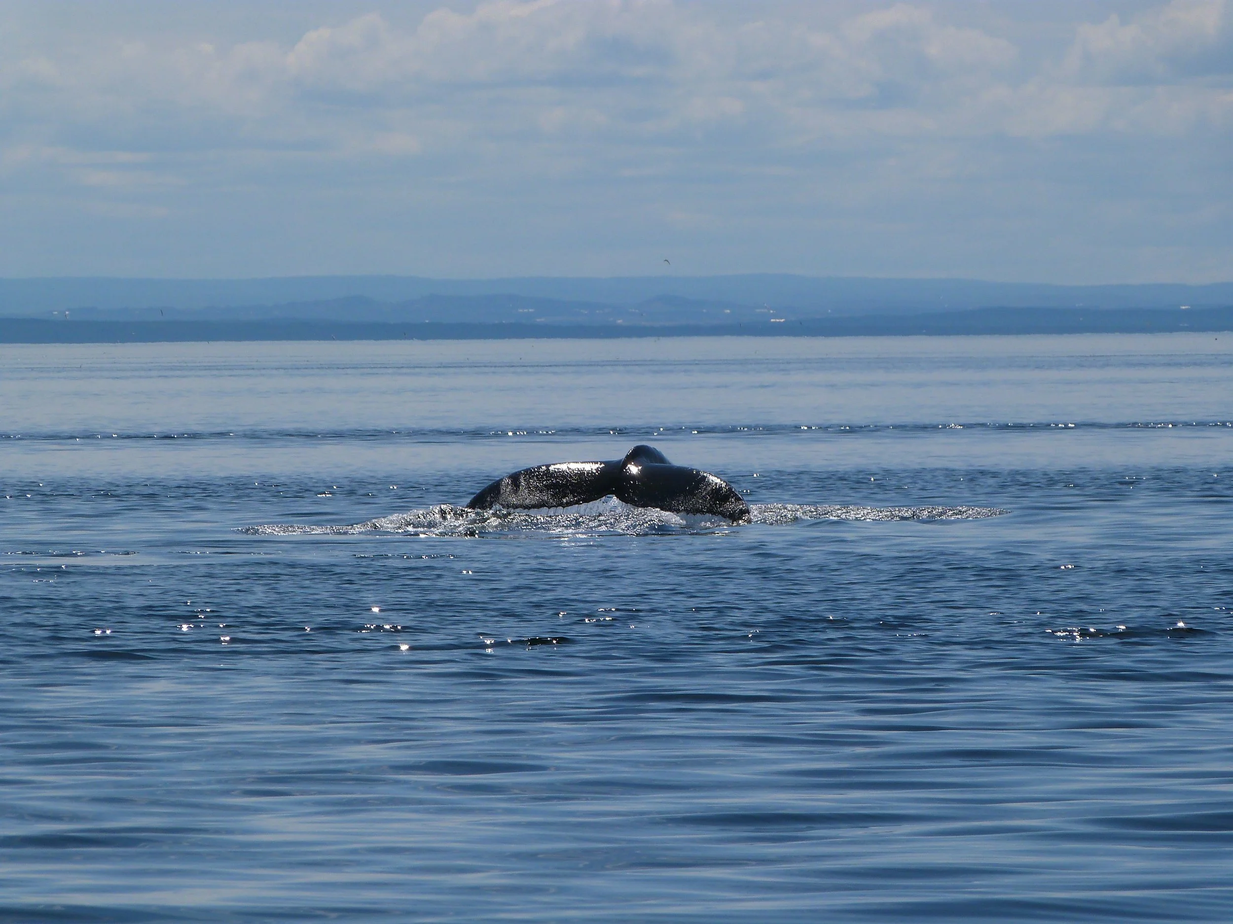 Tadoussac, Québec, Canada, August 2014
