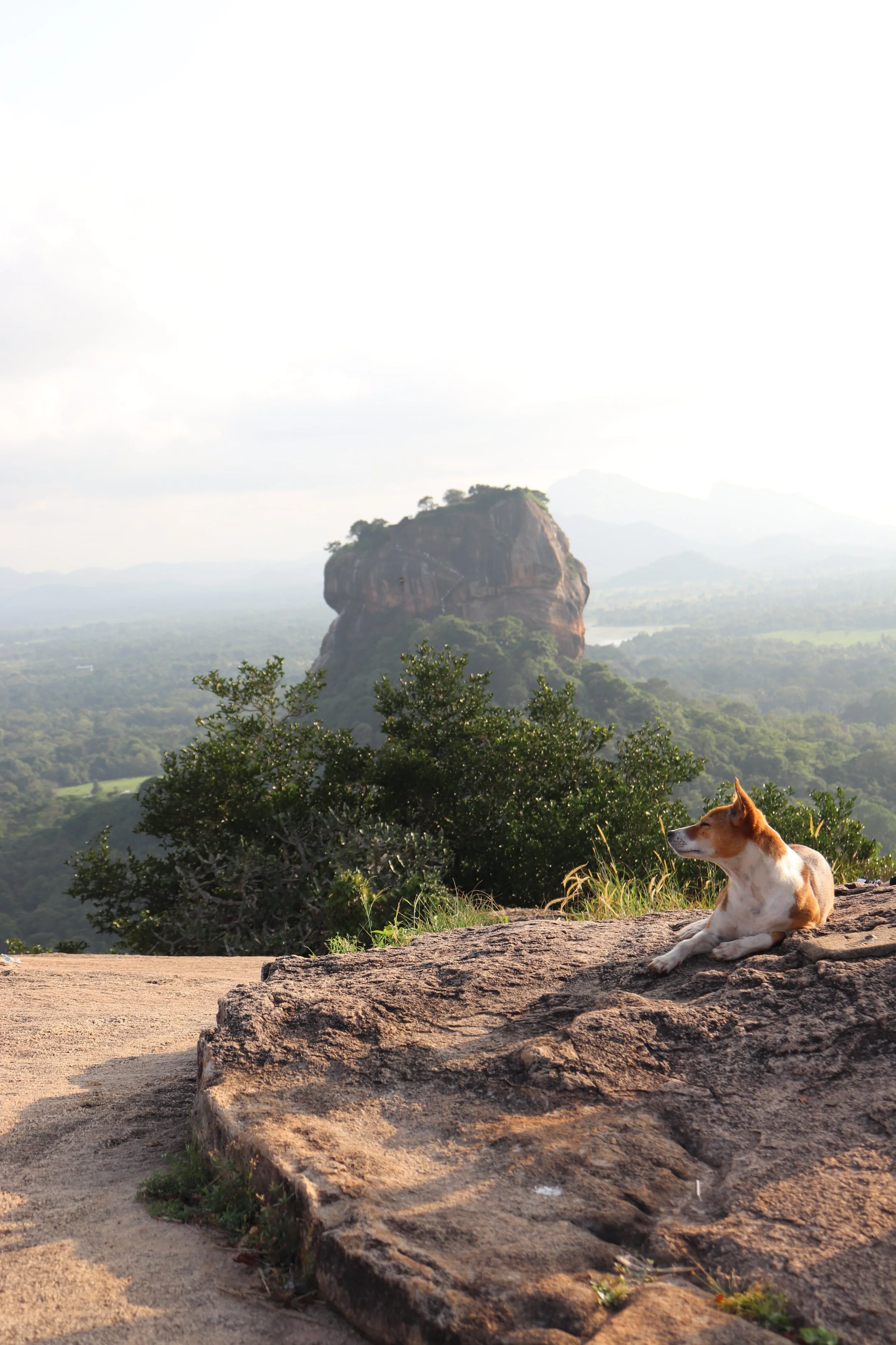 Pidurangala Rock, Sigiriya, Sri Lanka, January 2024