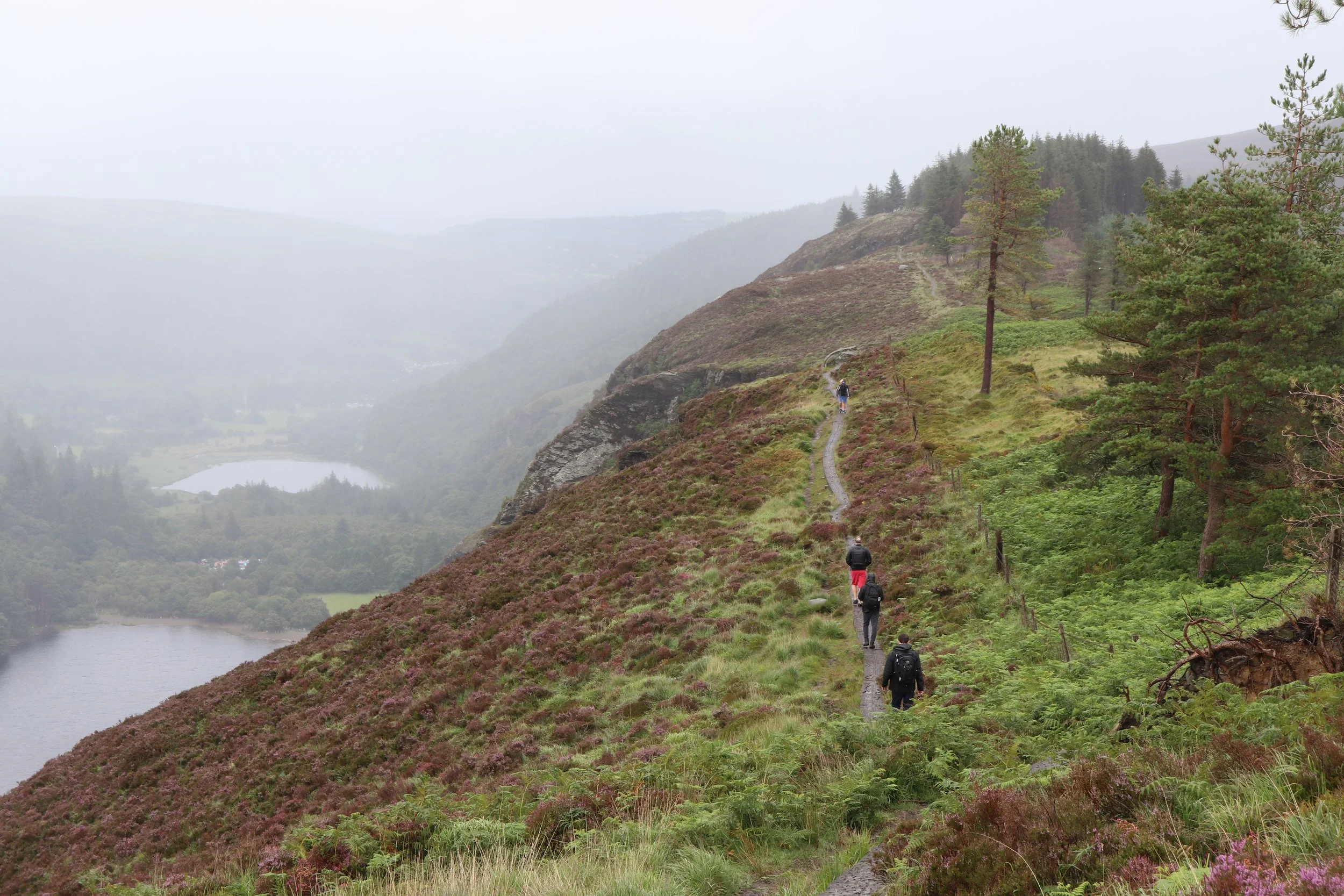 Wicklow Mountains, Ireland, July 2020