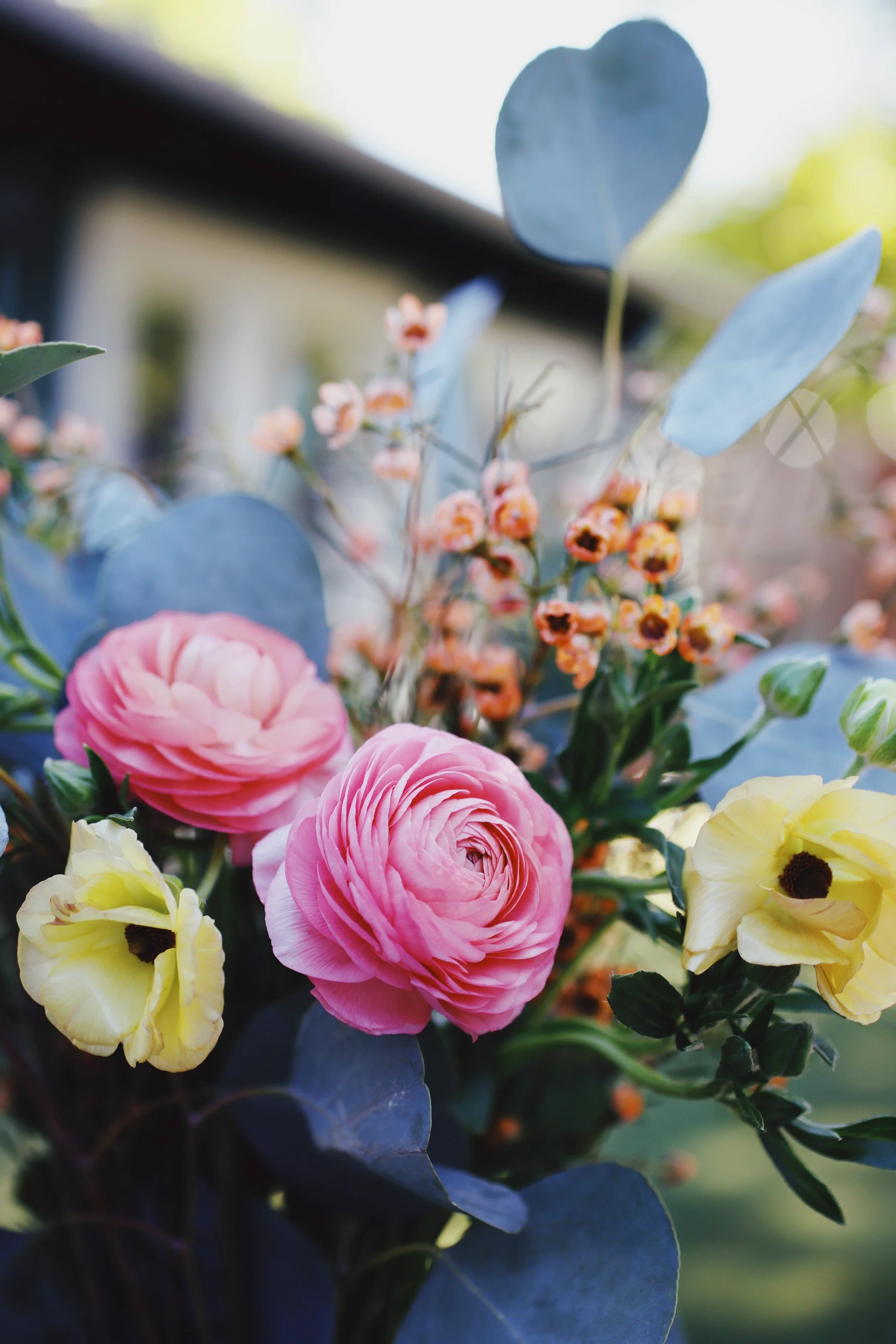 Close-up of a bouquet of pink and yellow flowers with blue leaves, blurrily showing a house in the background.