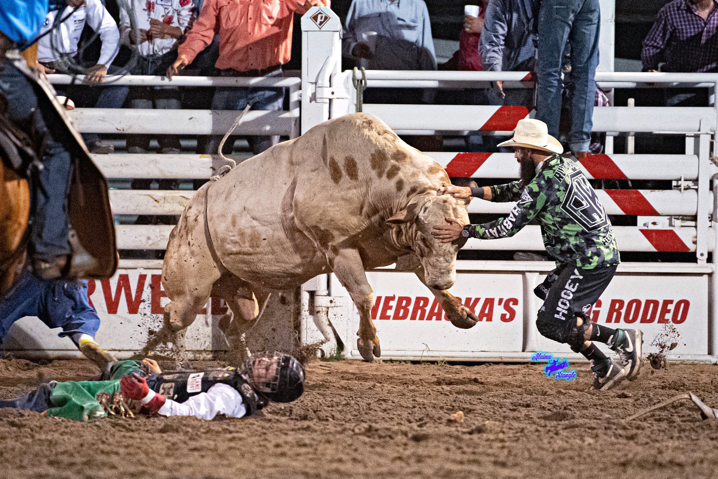 Weston Rutkowski saving cowboy at Fort Worth Stock Show and Rodeo  — Bearded Elf Co. founder Granbury Texas