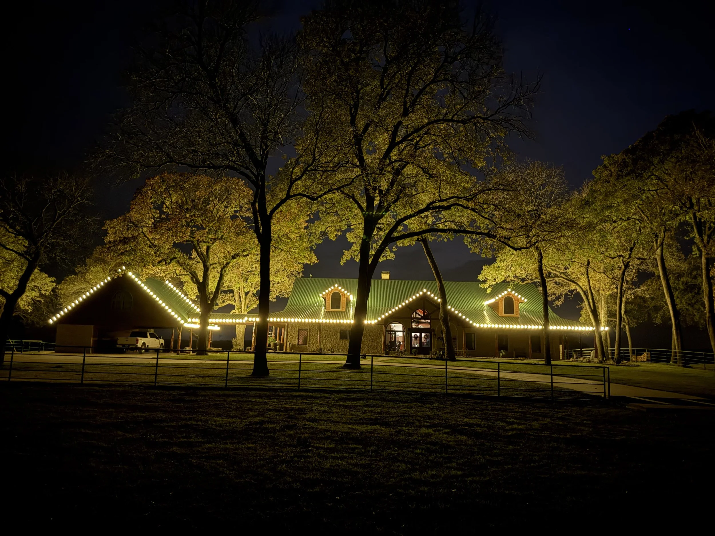 Tree and Landscape Lighting