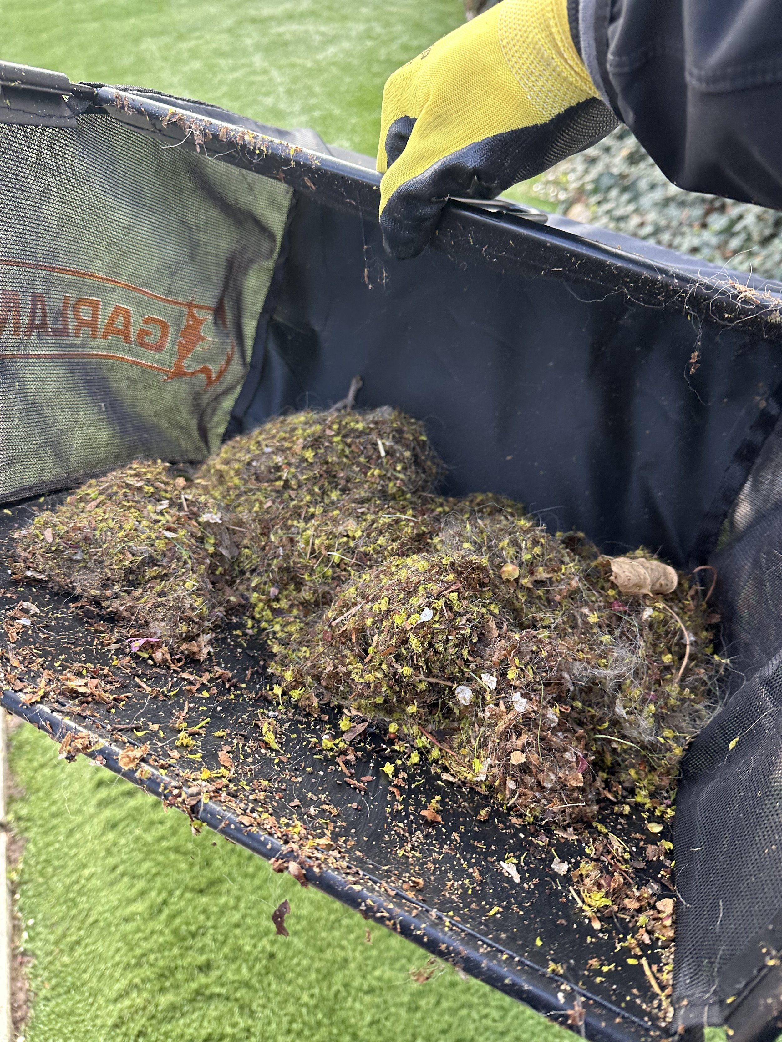 Accumulation of pet hair, organic debris, and dirt extracted from artificial turf during a deep-clean service.