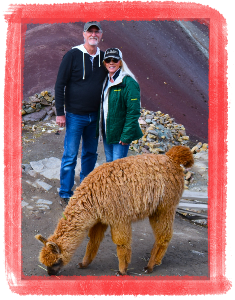 A man and woman standing outdoors in front of a volcanic landscape while a brown alpaca grazes in the foreground.